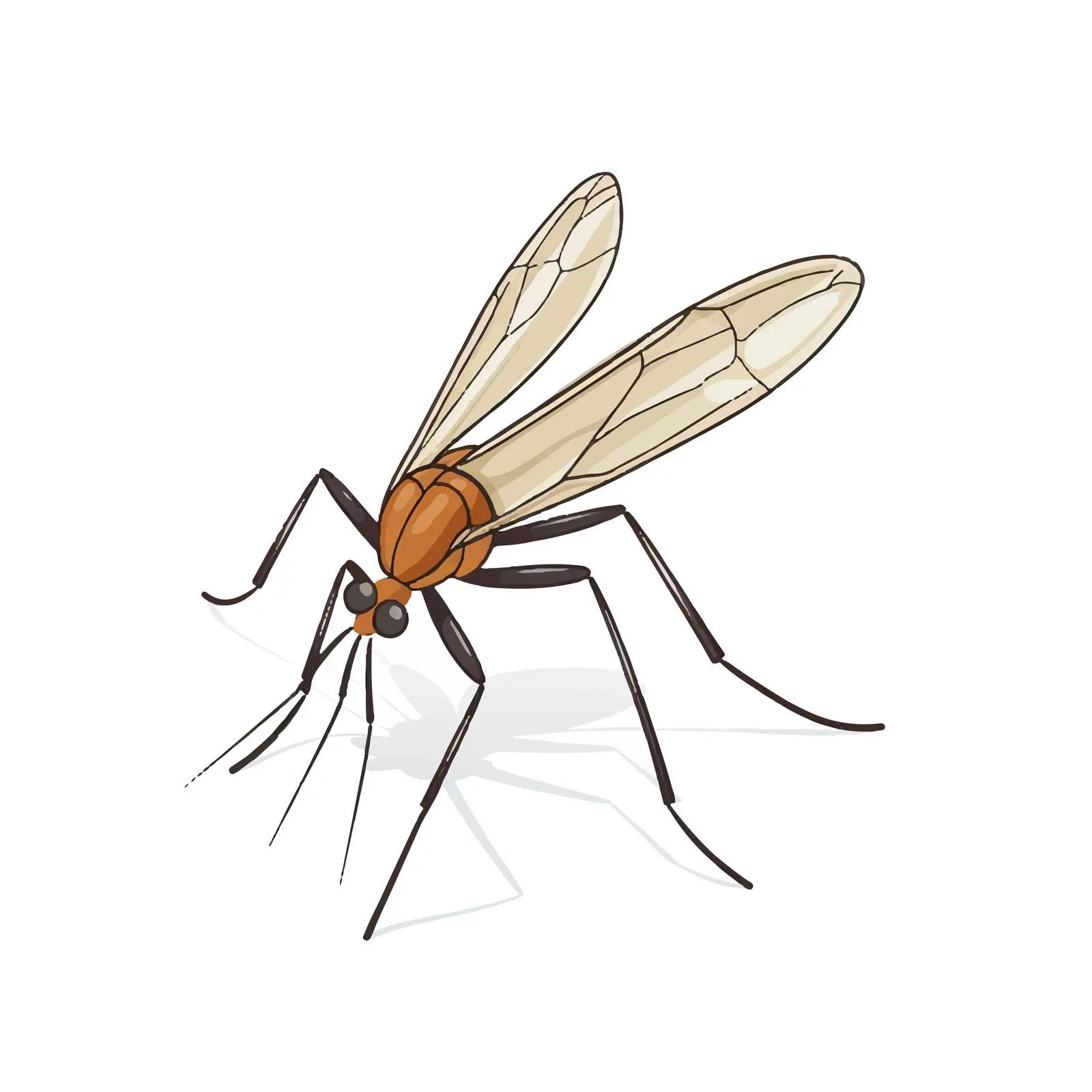Mosquito Vector Illustration on White Background — free download from Dotvec