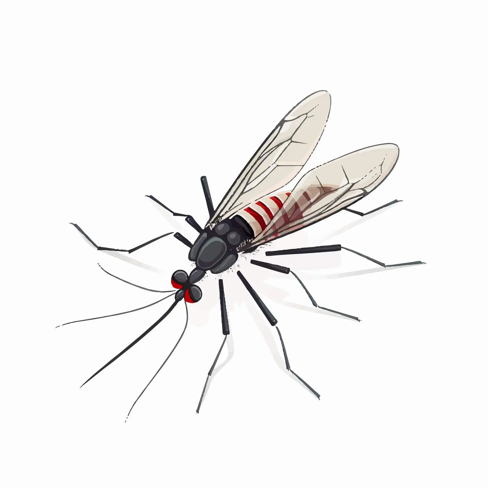 Mosquito Vector Illustration Isolated on White Background — free download from Dotvec