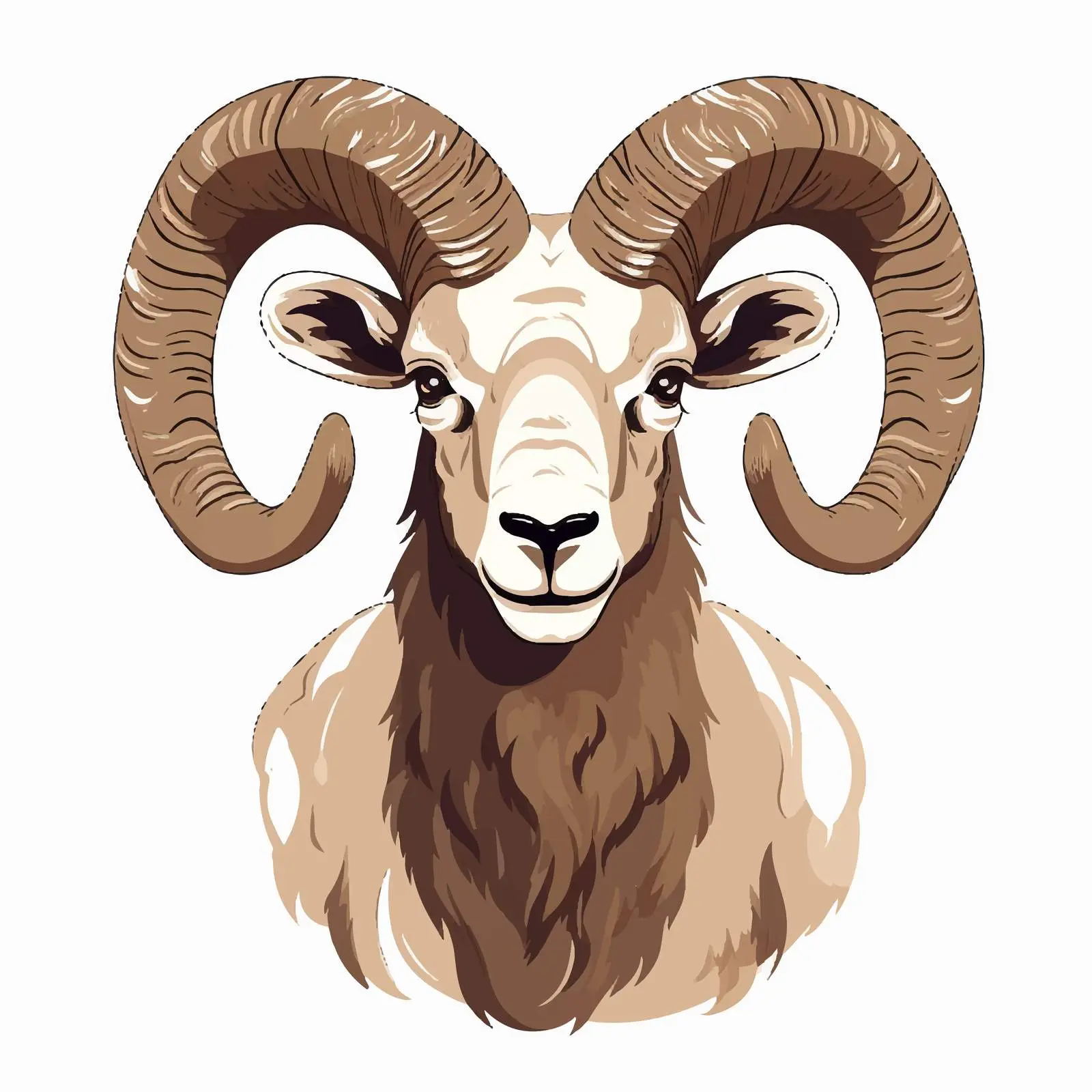 Mouflon Vector Illustration on White Background – free studio illustration image from Dotvec