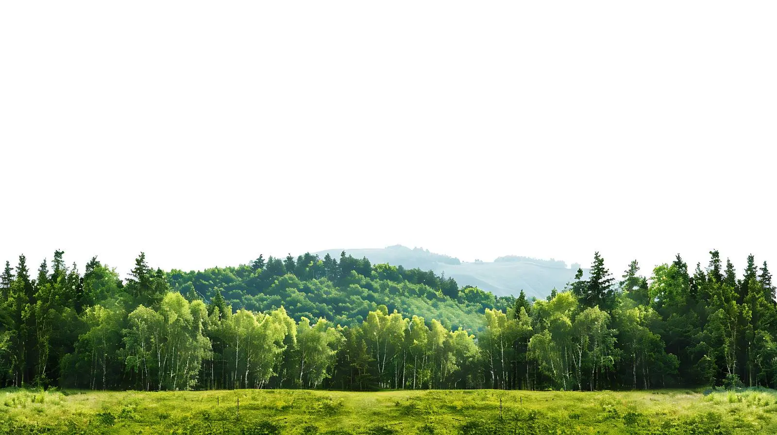 Stunning Mountain Forest Landscape Under Cloudy Sky — free download from Dotvec