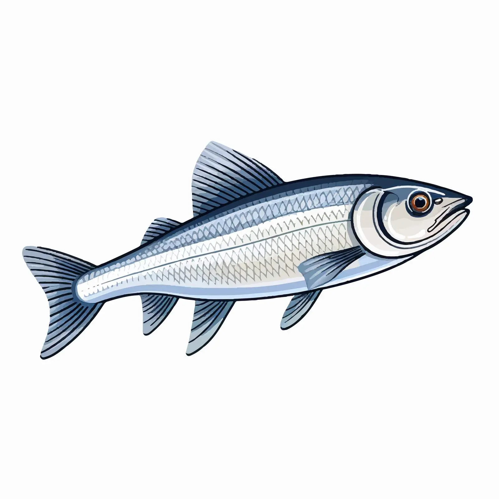Mullet Fish Line Vector Illustration — free download from Dotvec