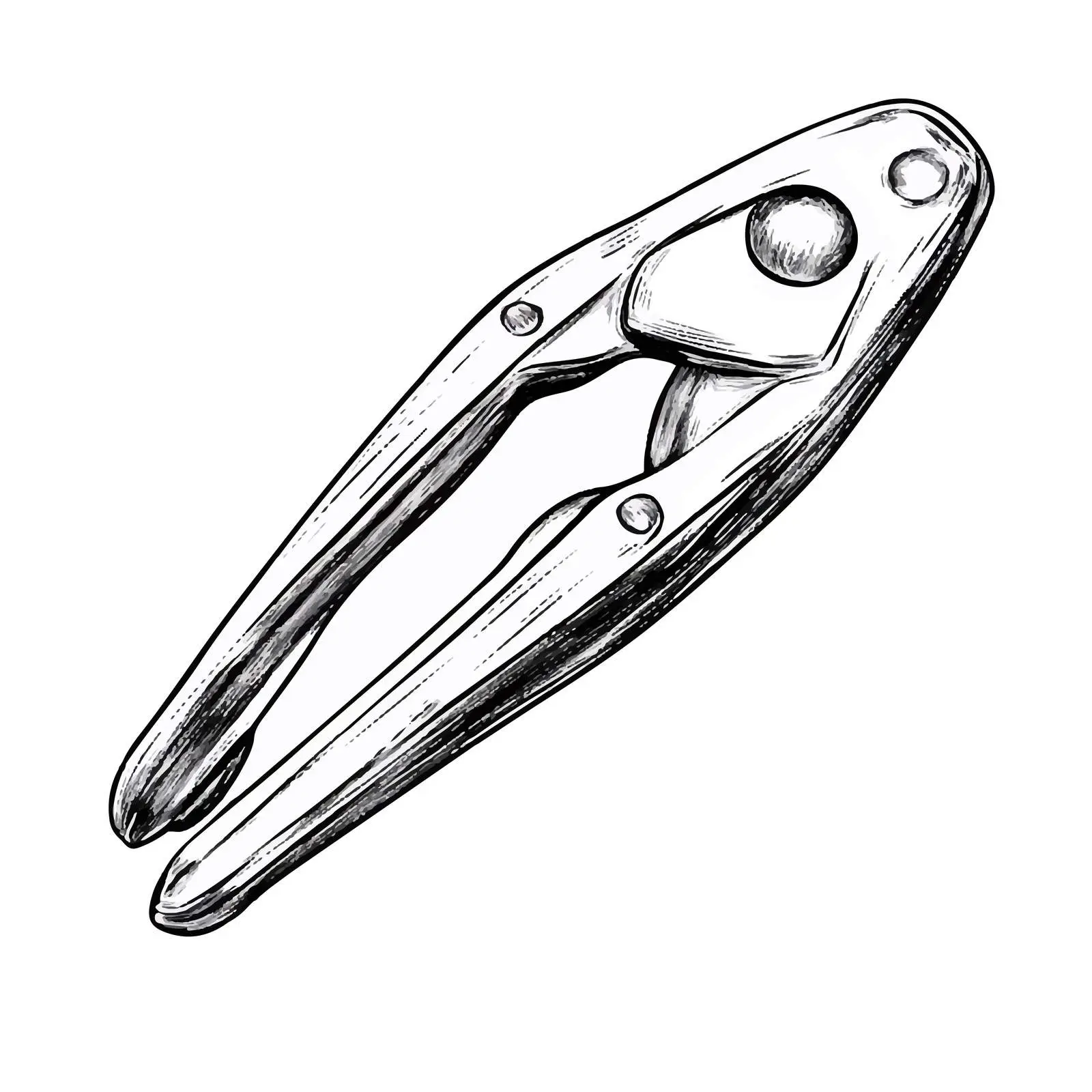 Cartoon Nail Cutter Illustration in Black and White — free download from Dotvec