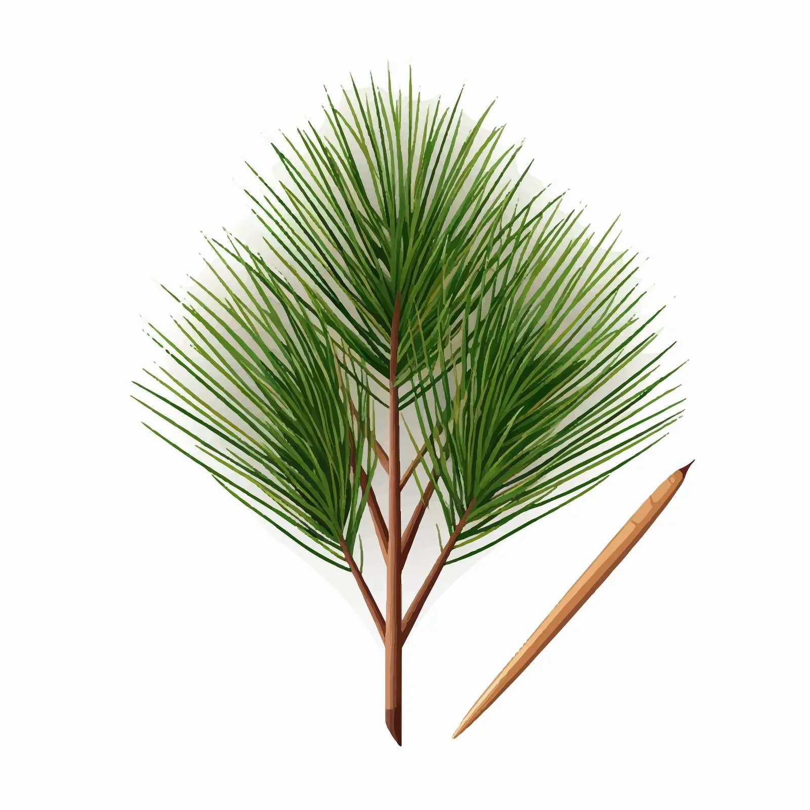 Pine Nail Vector Illustration on White Background — free download from Dotvec