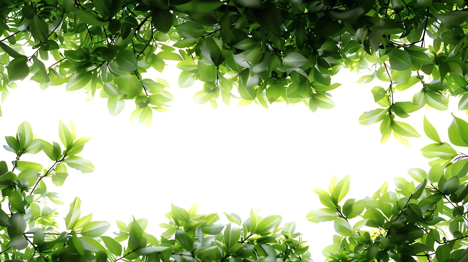 Serene Nature on White Background — free download from Dotvec