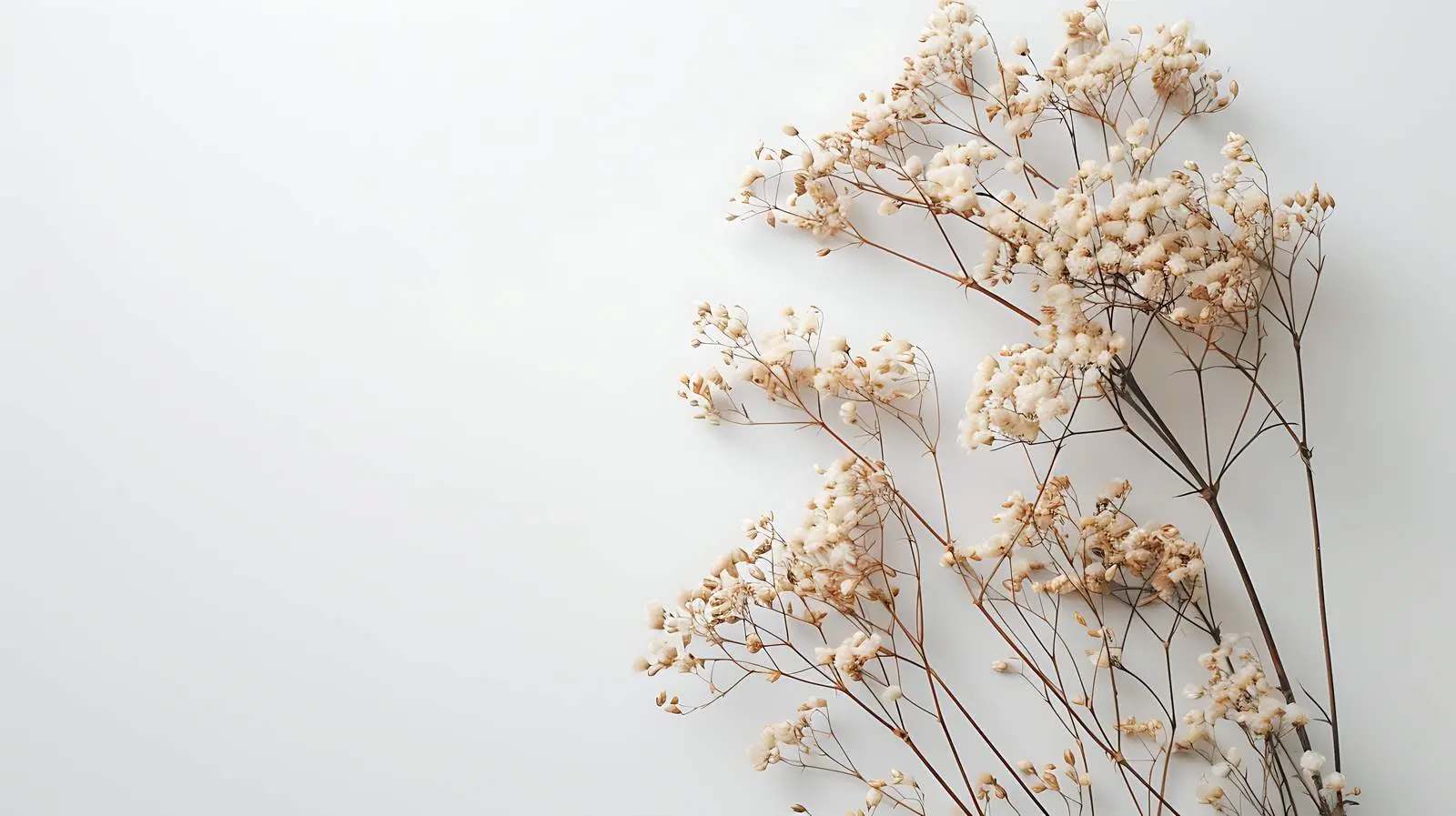 Neutral Floral Composition with Dry Branch — free download from Dotvec