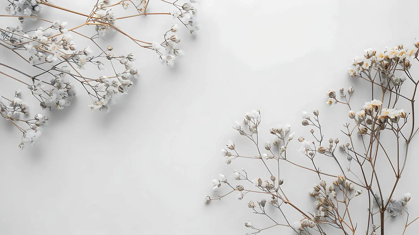Neutral Floral Composition with Dry Flower Branch — free download from Dotvec