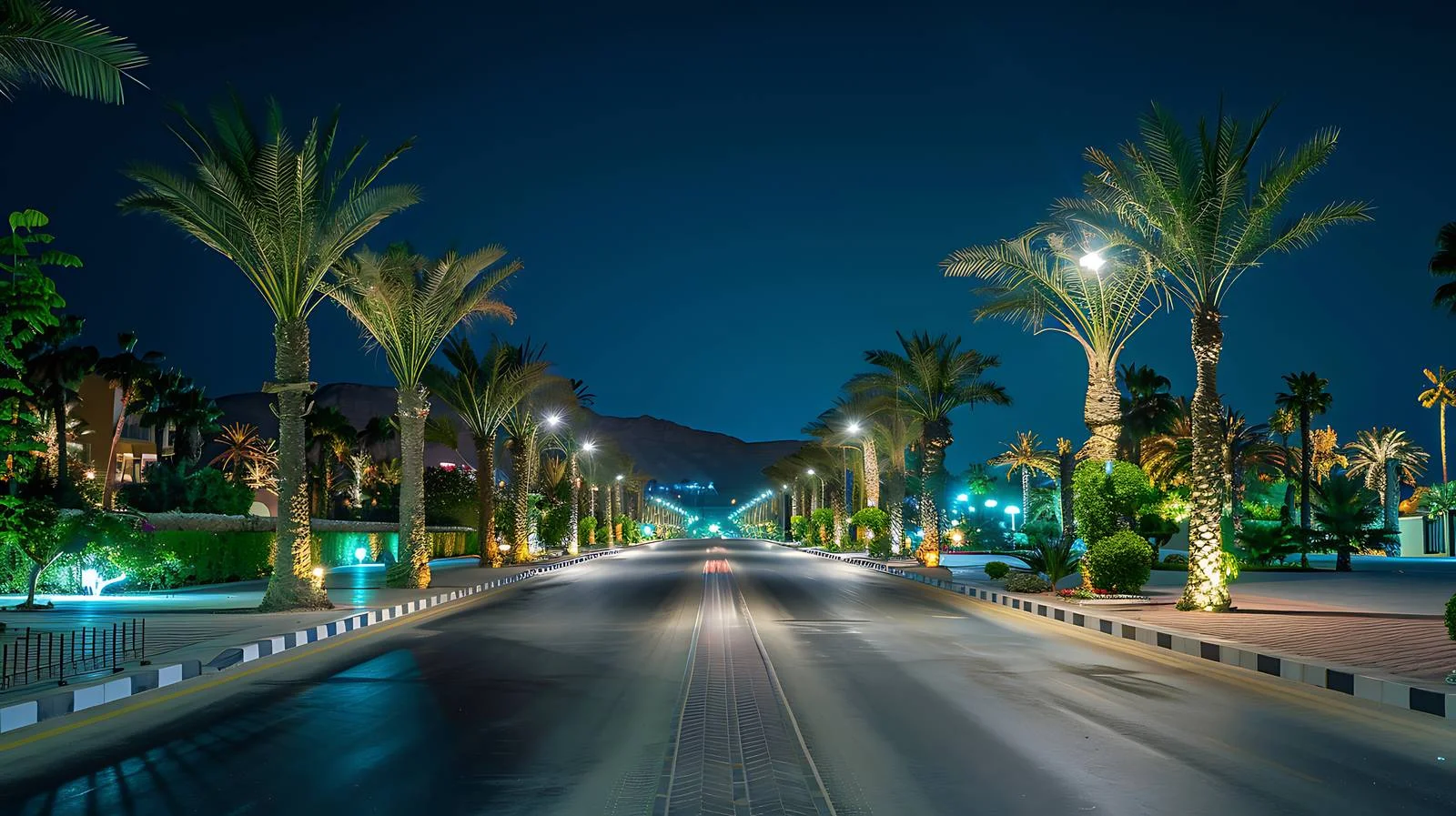 Serene Night Road Palm Trees Sharm el Sheikh — free download from Dotvec