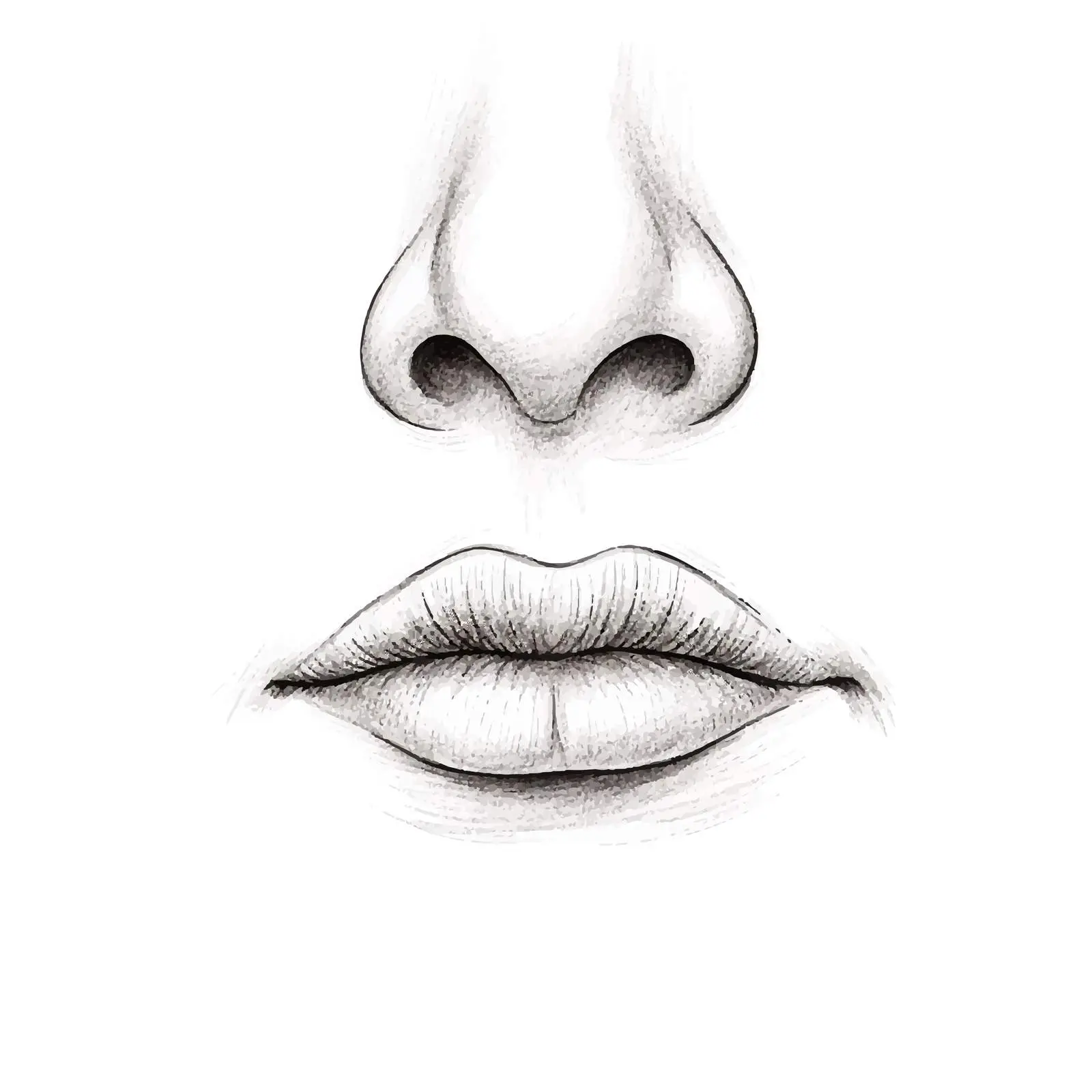 Minimalist Nose Sketch Vector Illustration — free download from Dotvec