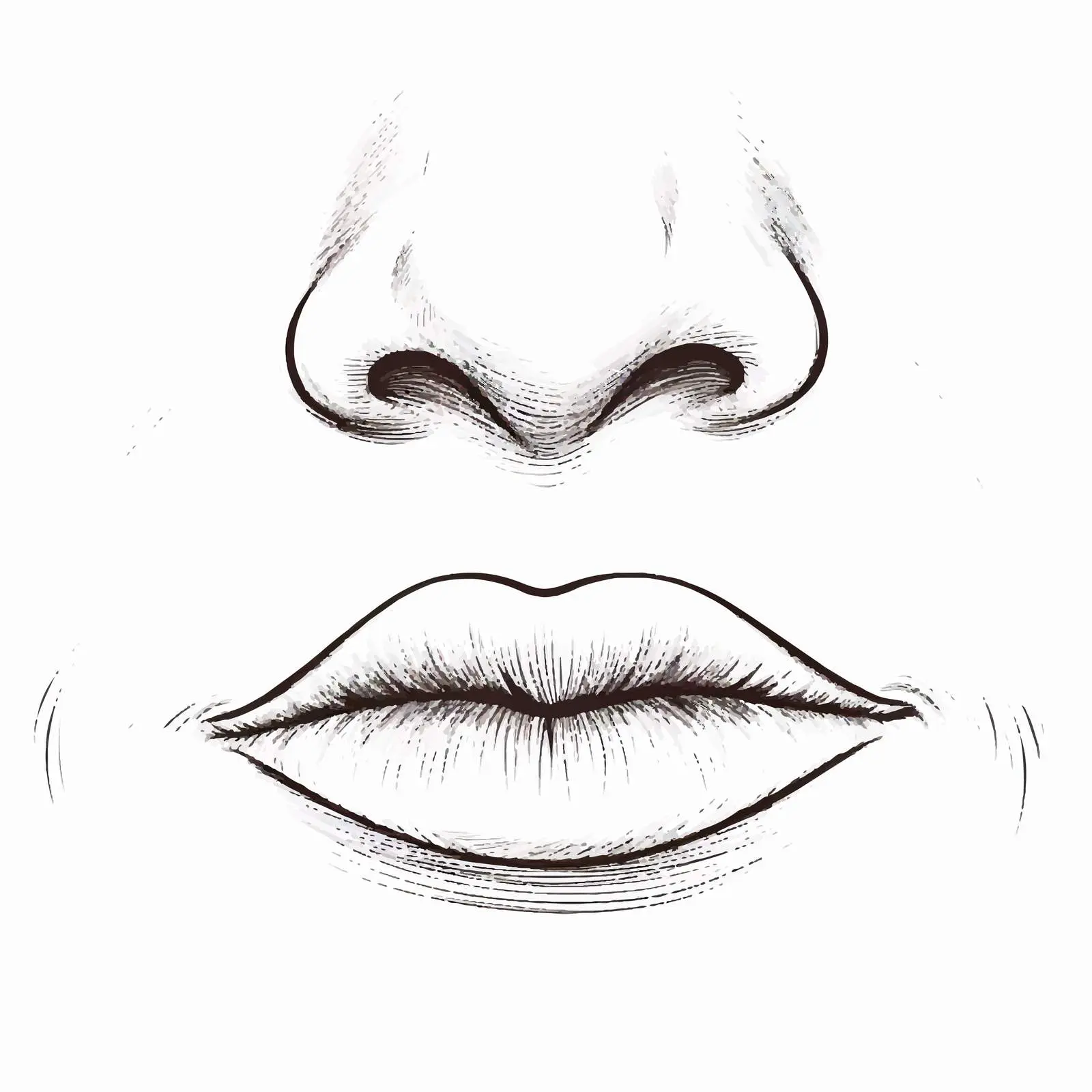 Nose Sketch Vector Illustration on White Background — free download from Dotvec
