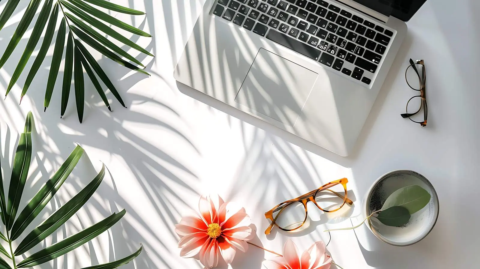 Notebook in Sunlight with Flower and Laptop — free download from Dotvec