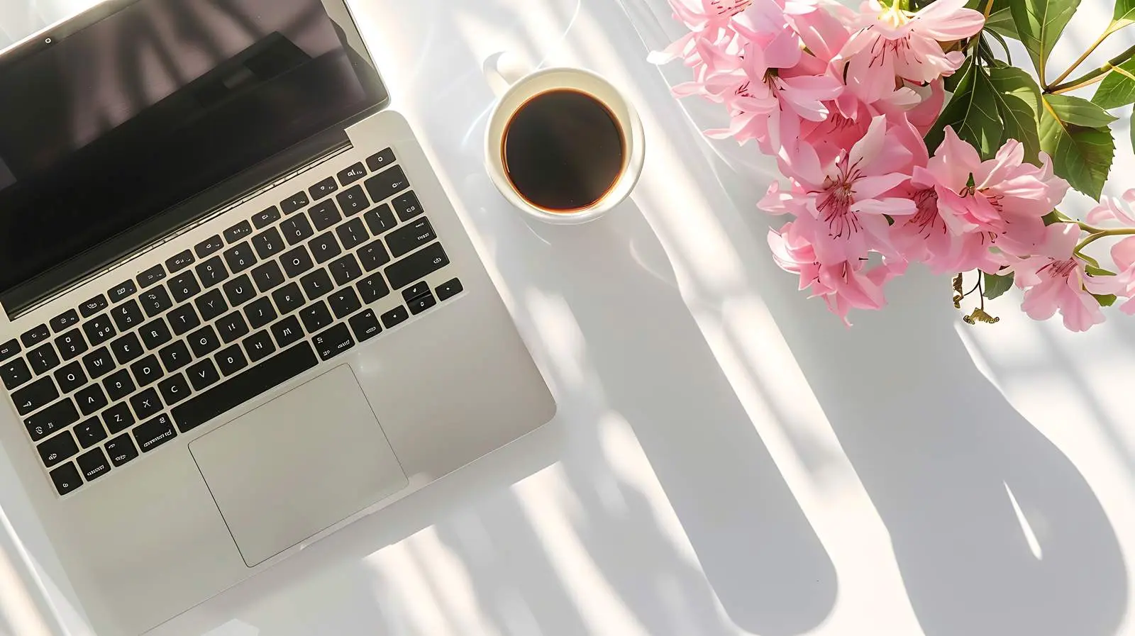 Notebook and Laptop in Sunlight with Flowers — free download from Dotvec