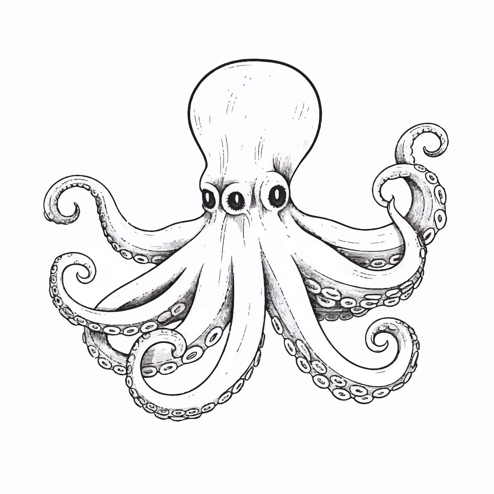 Cartoon Octopus Vector Illustration Sketch — free download from Dotvec