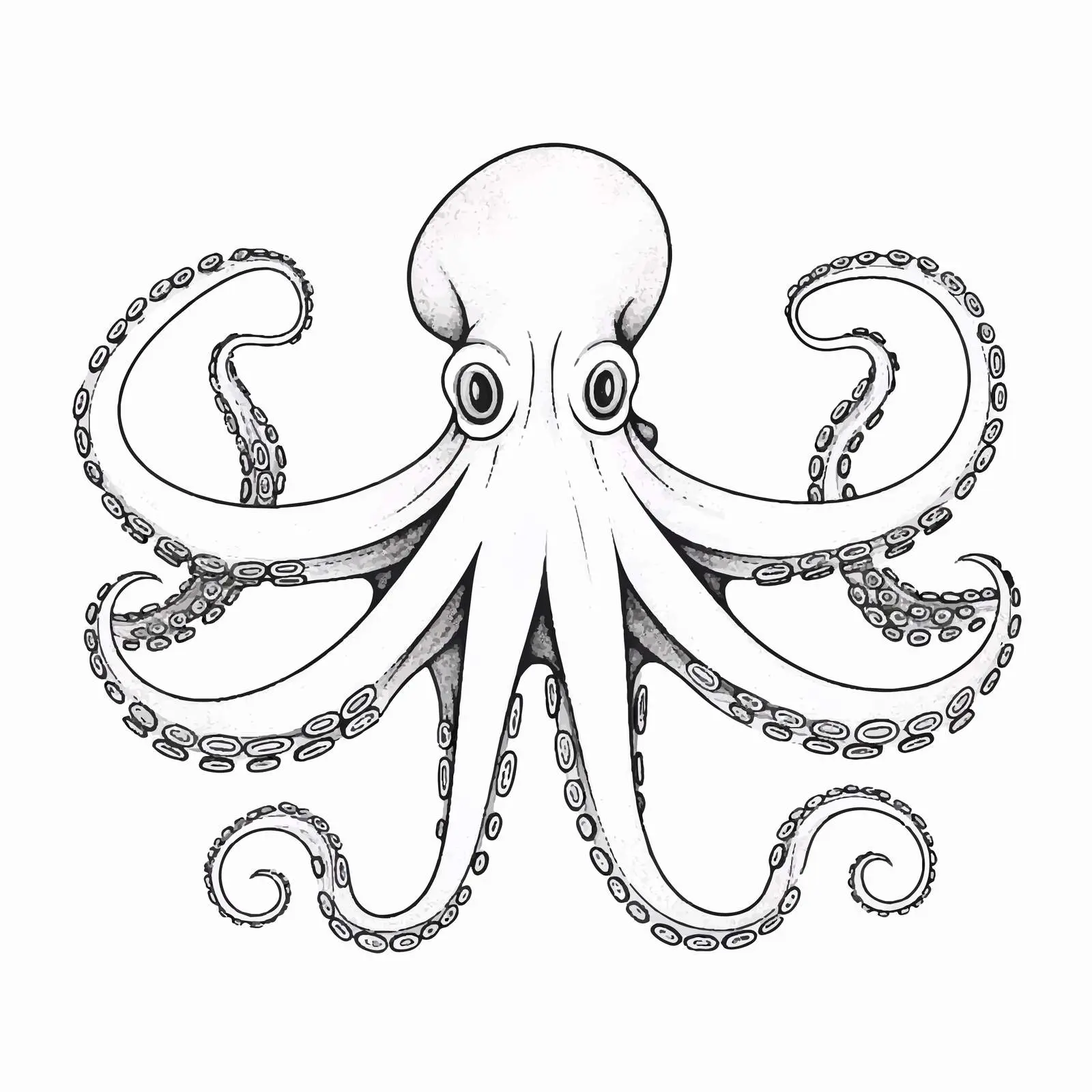 Isolated Line Art Octopus Vector Illustration – free octopus image from Dotvec