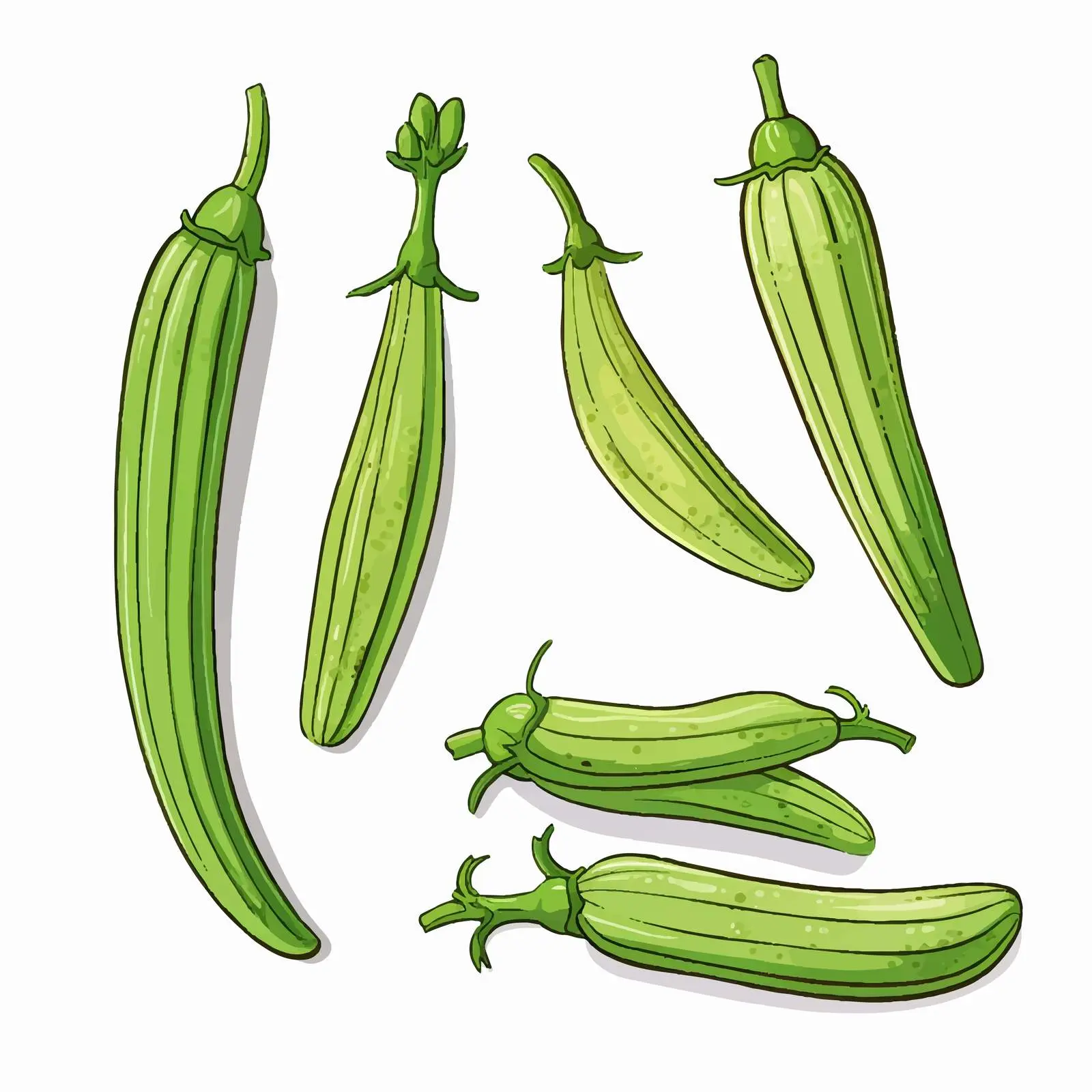 Okra Outline Vector Illustration on White Background – free textured vector image from Dotvec