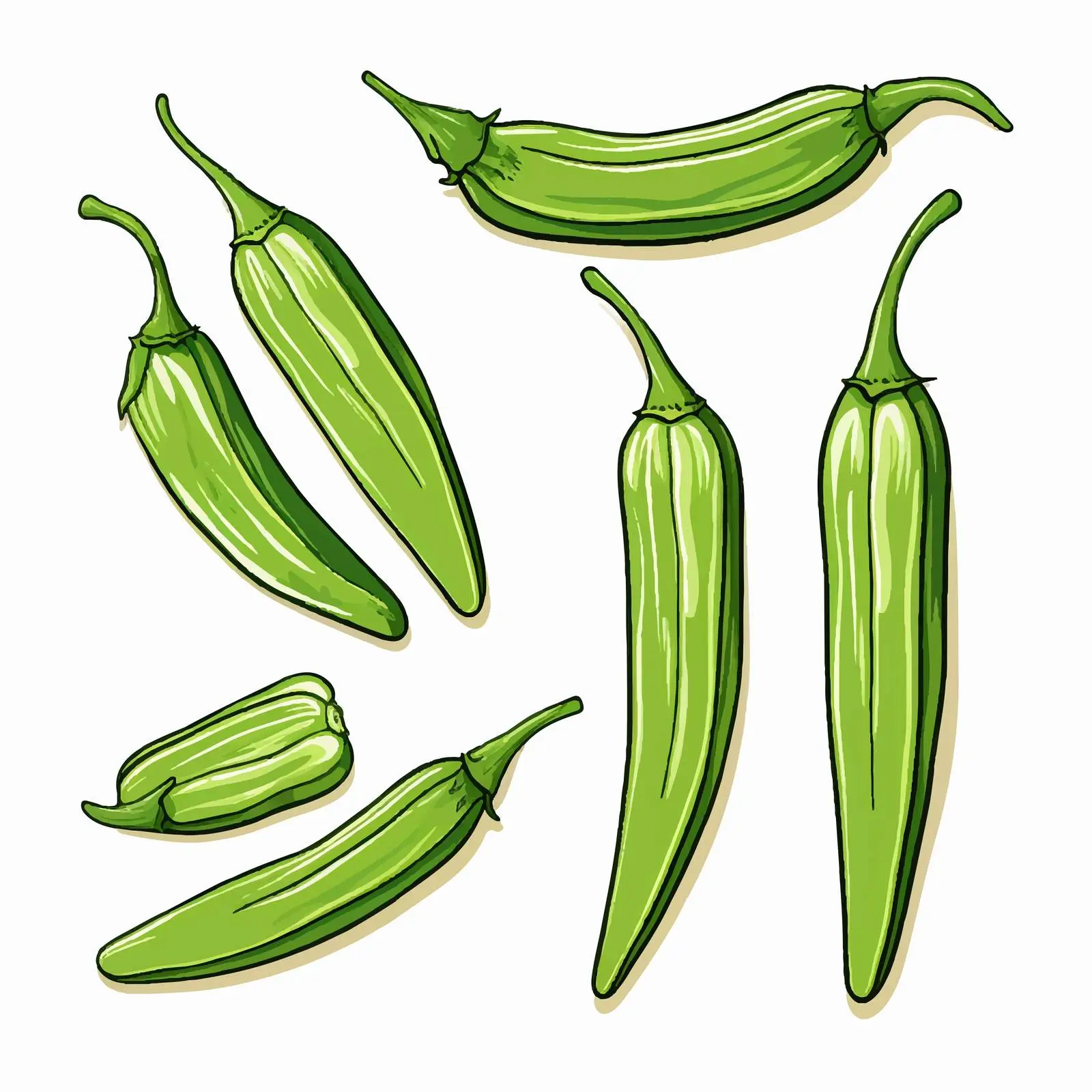 Okra Outline Vector Illustration on White Background — free download from Dotvec
