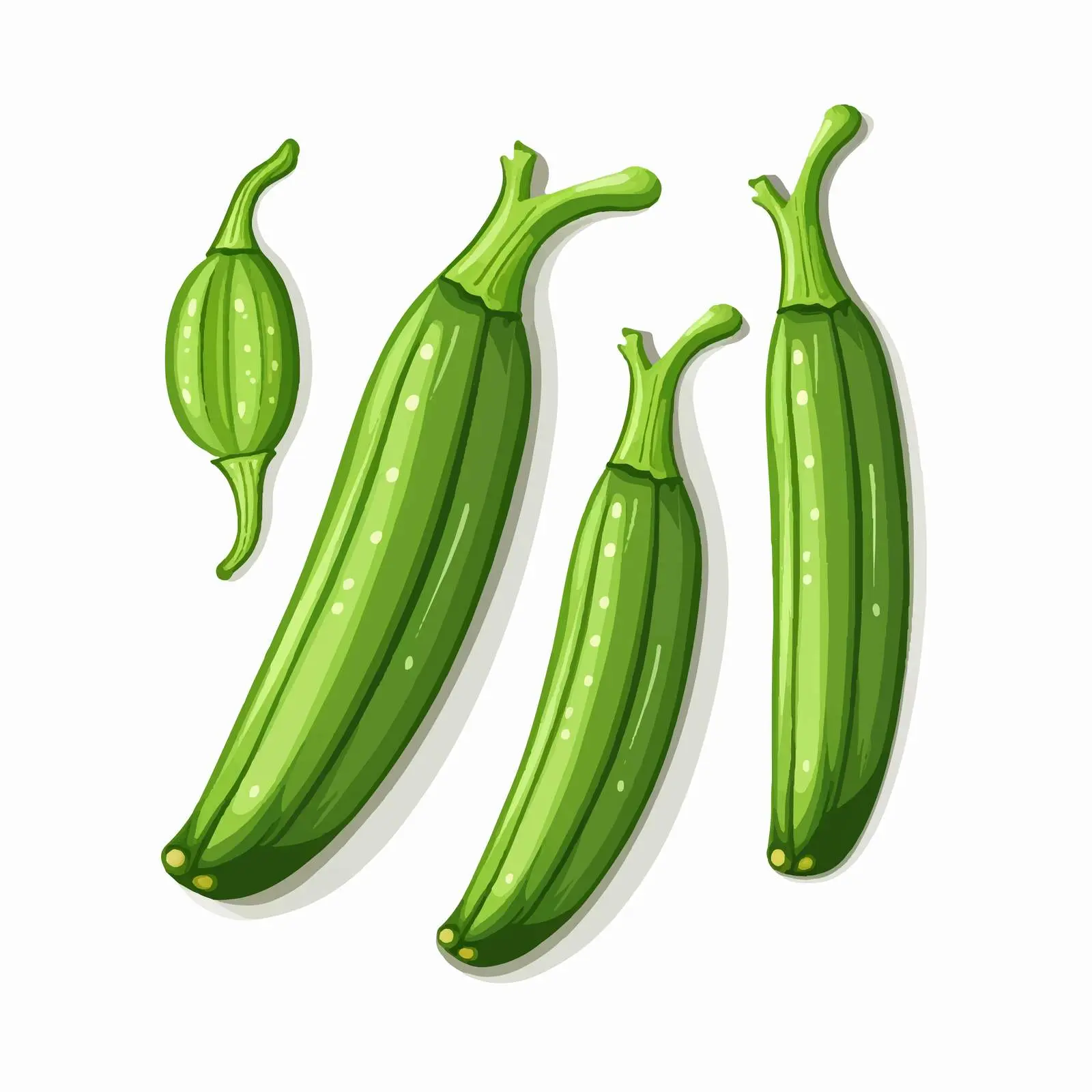 Okra Vector Illustration Isolated on White Background — free download from Dotvec
