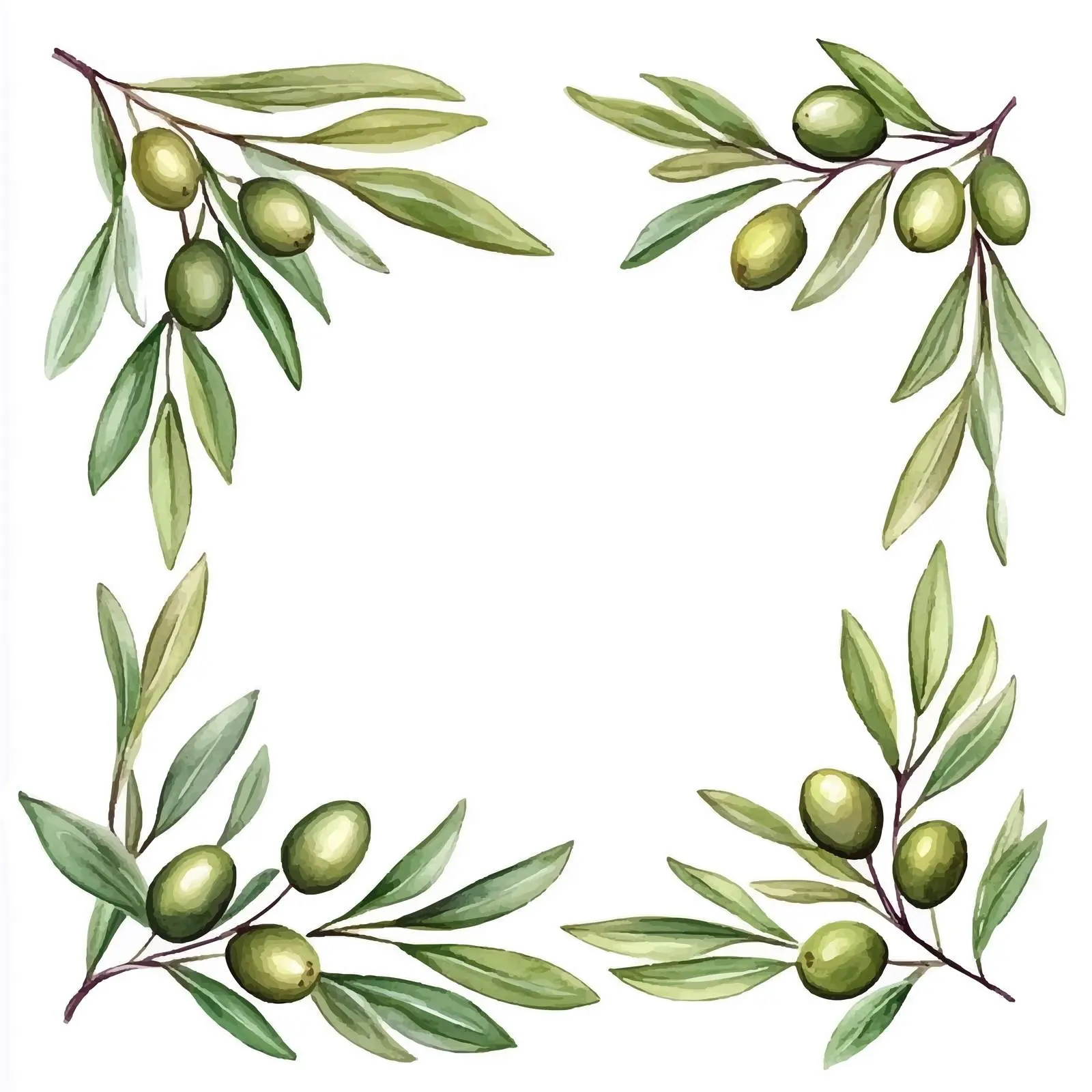 Olive Frame with Branches and Fruits — free download from Dotvec