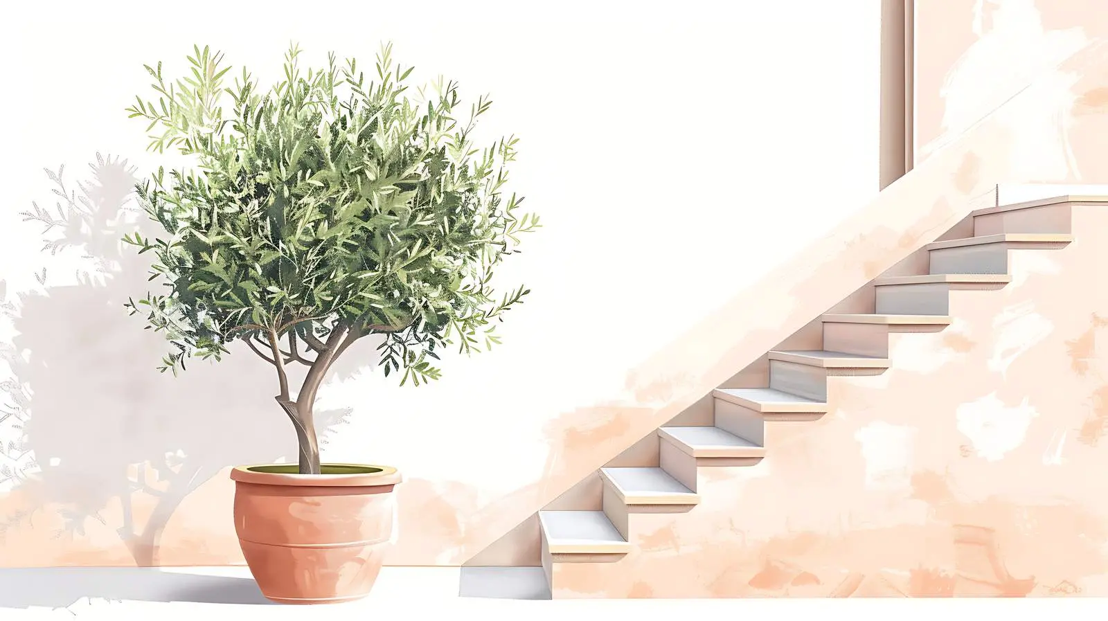 Olive Tree in Terracotta Pot — free download from Dotvec
