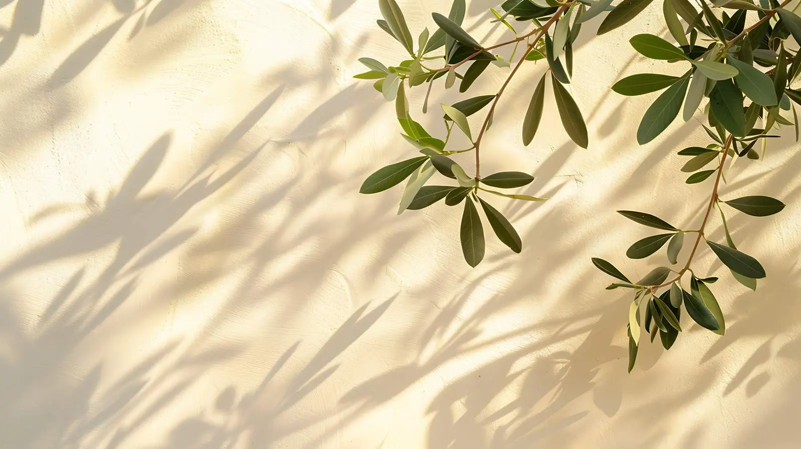 Olive Tree Leaves and Branches on Beige Background — free download from Dotvec
