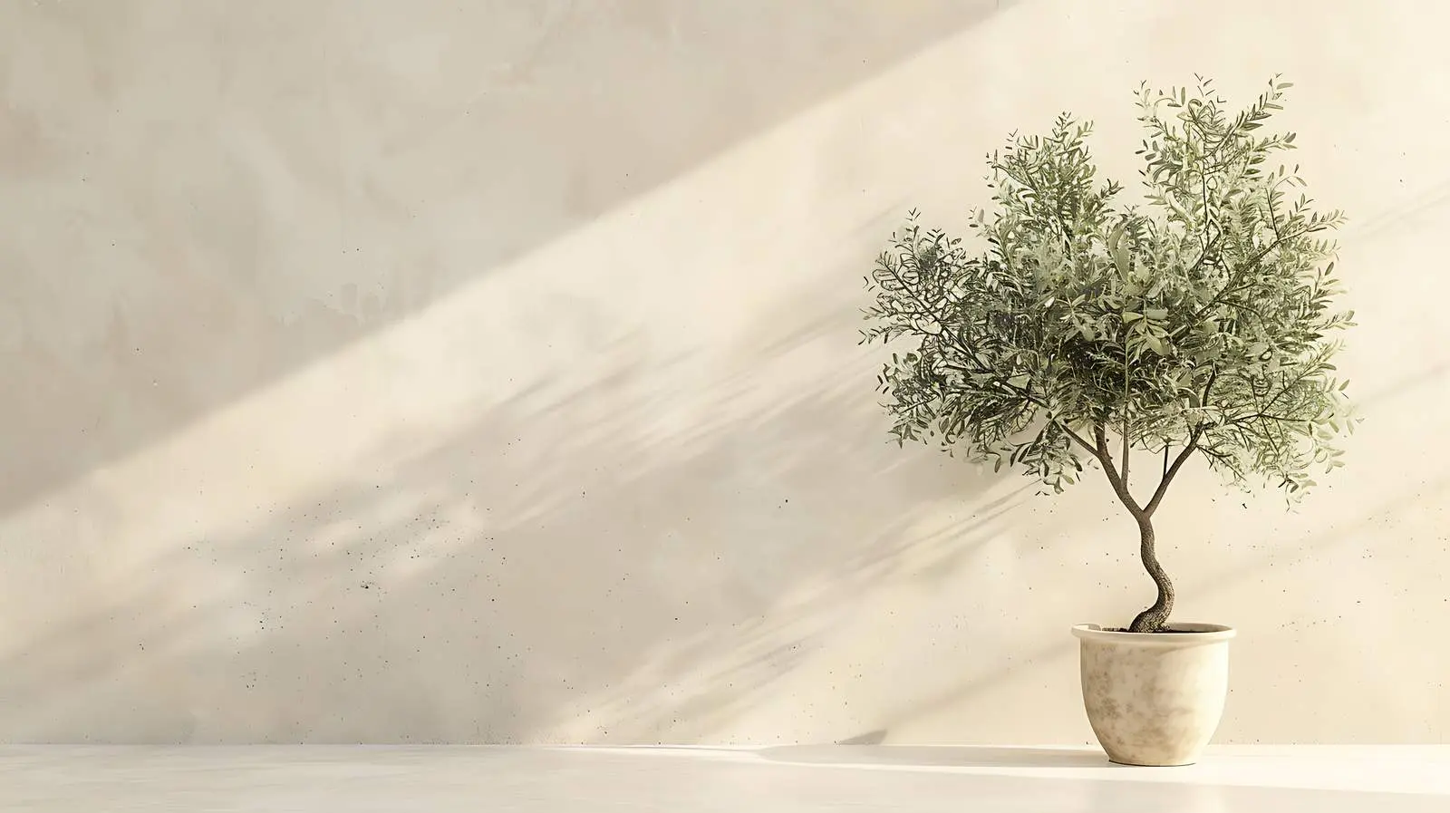 Olive Tree Against Pastel Beige Wall — free download from Dotvec
