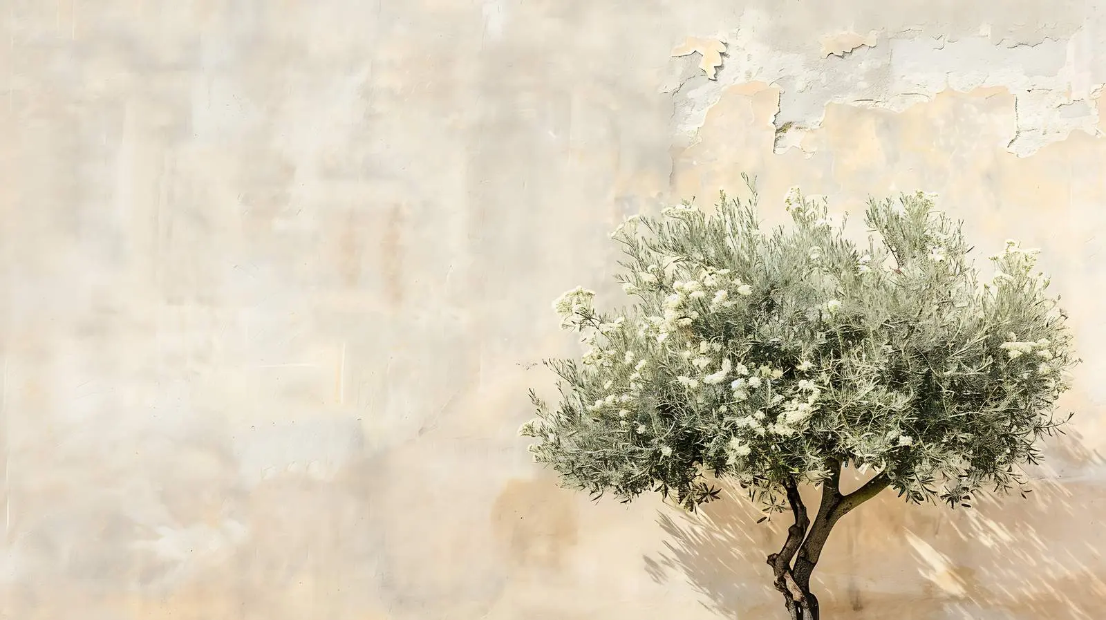 Olive Tree and Historic Architecture in Italy — free download from Dotvec