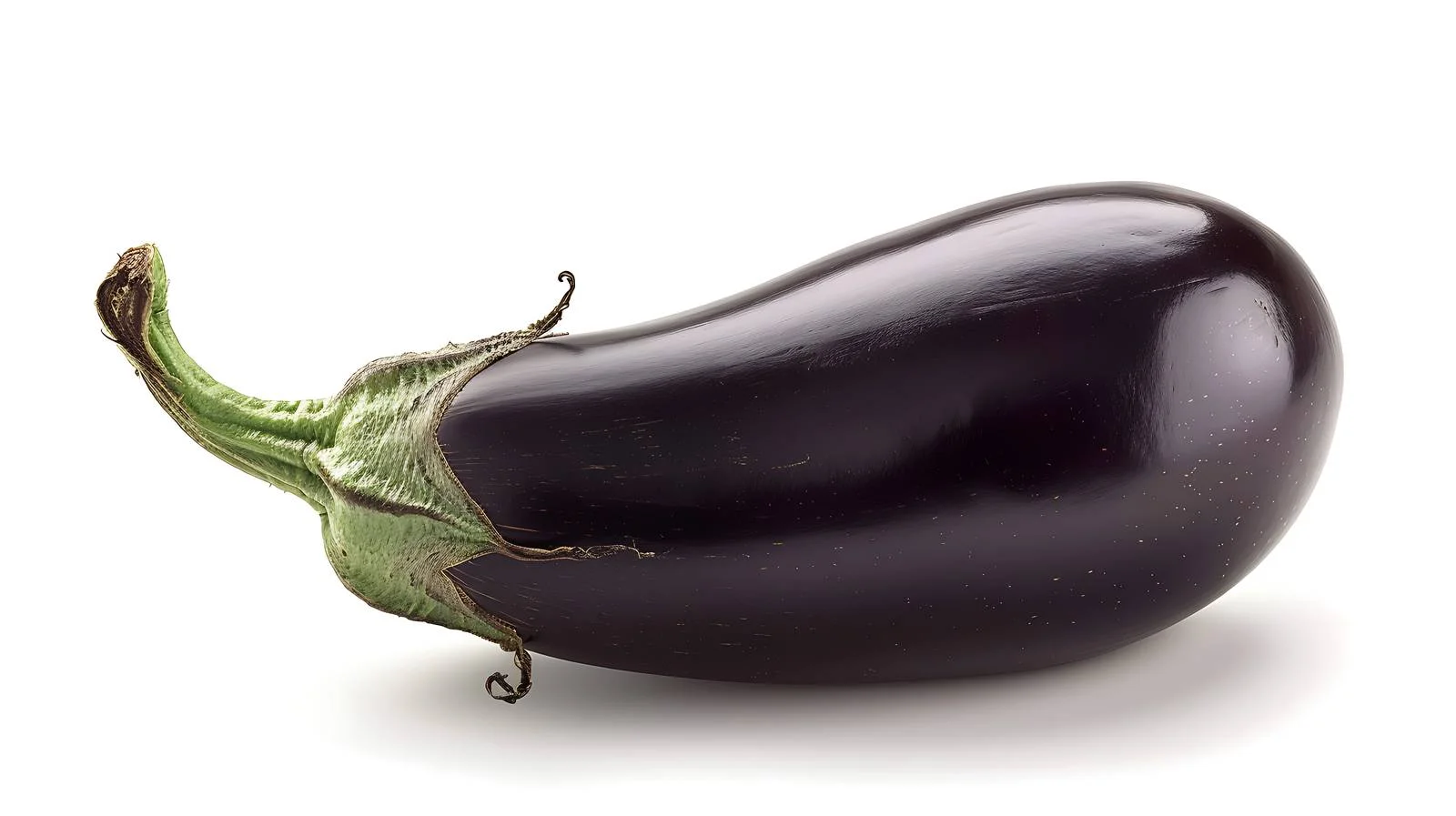 Vibrant Eggplant on White Background — free download from Dotvec