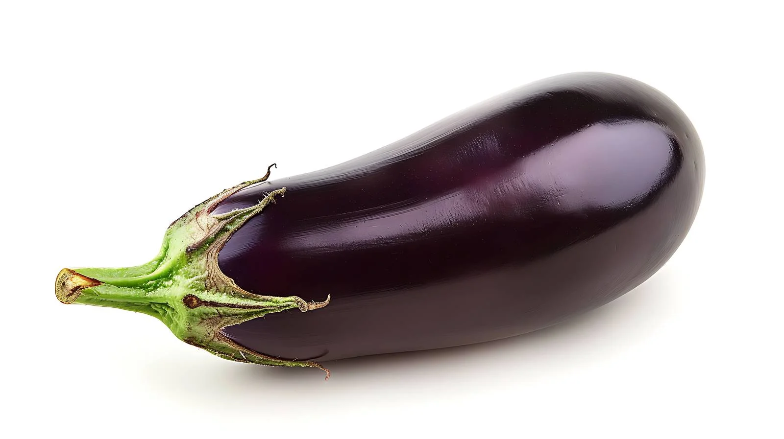 Single purple eggplant on white backdrop — free download from Dotvec
