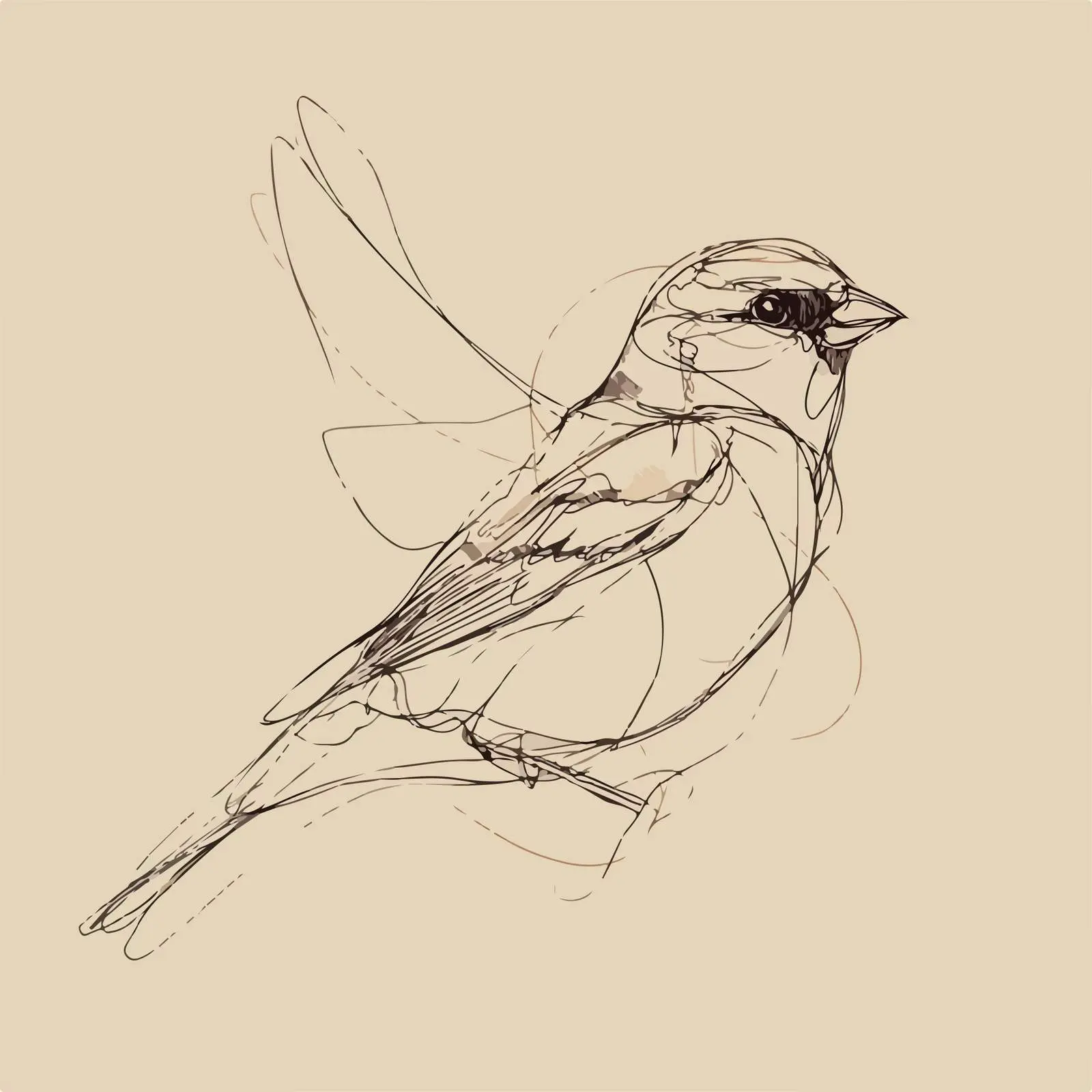 Sparrow Minimalist Vector Art — free download from Dotvec