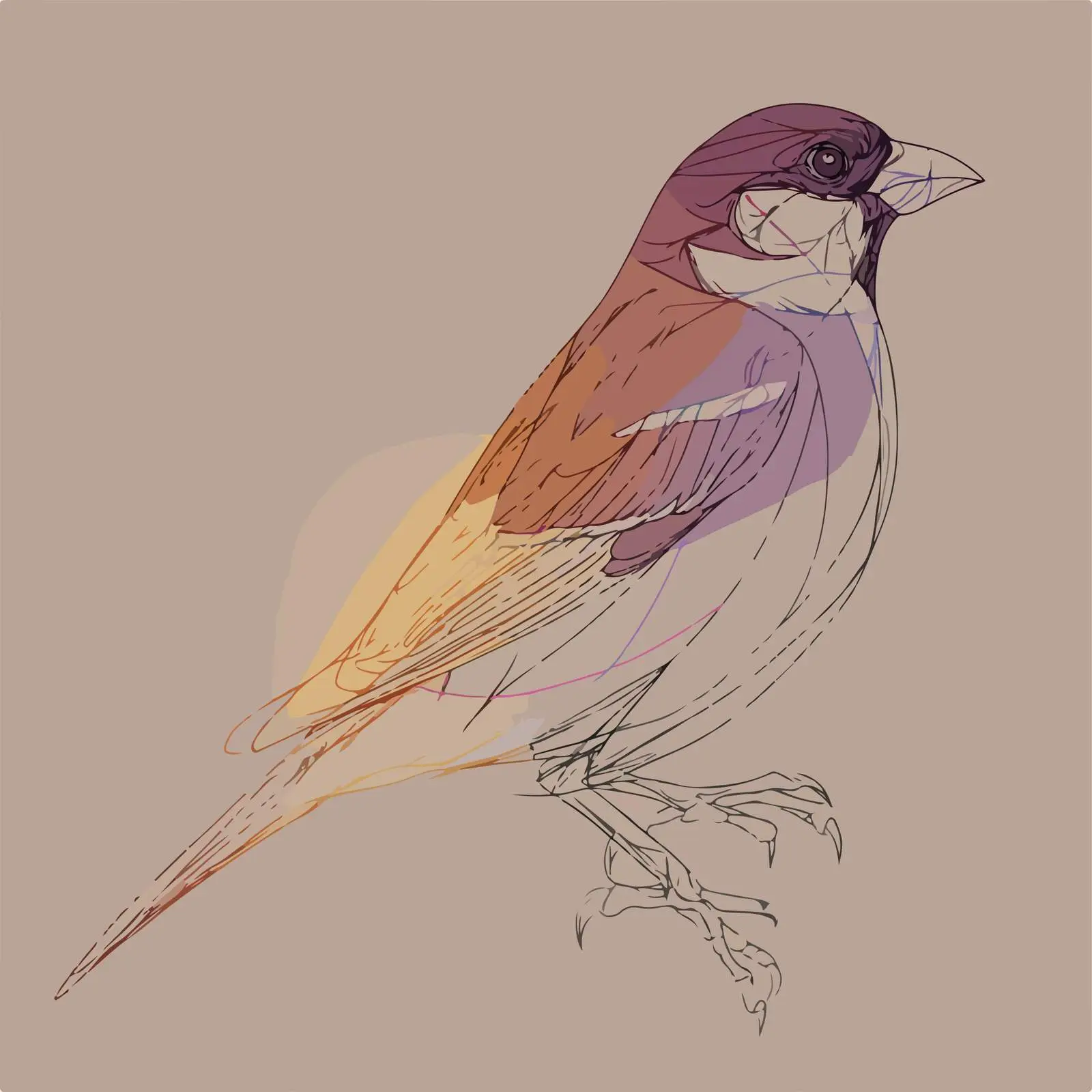 Sparrow Line Art with Gradient Touch — free download from Dotvec