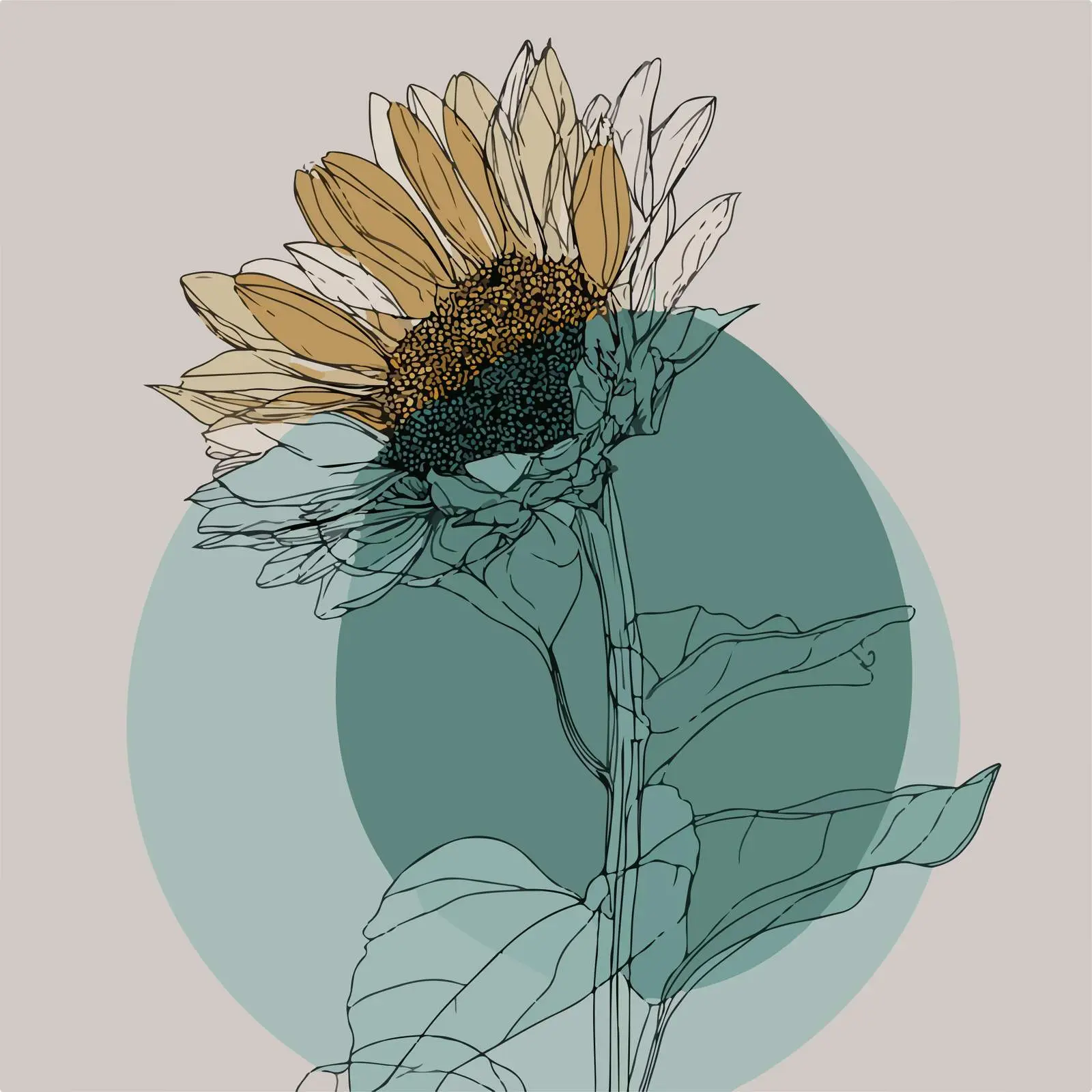 Sunflower Line Drawing with Green Accent — free download from Dotvec