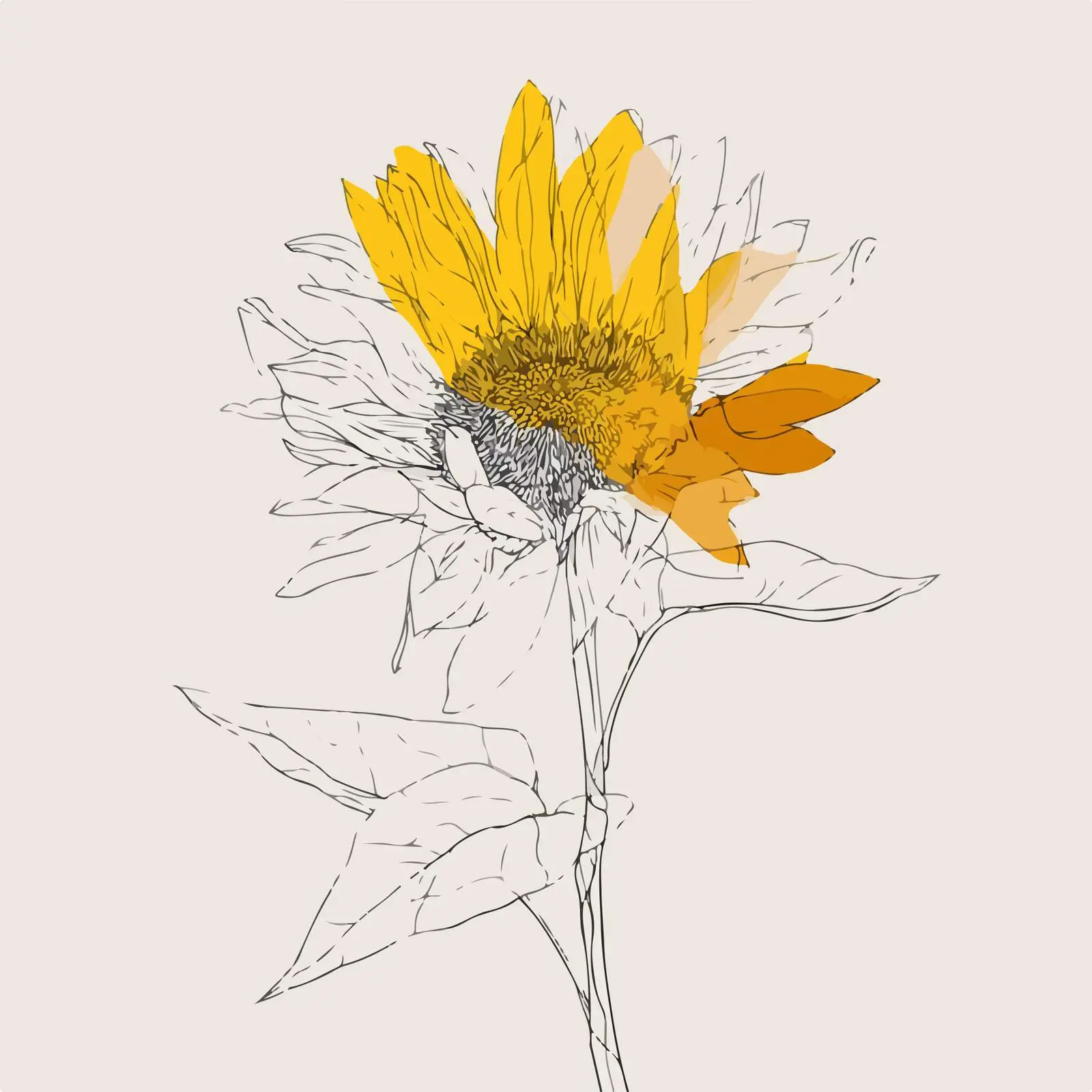 Minimalist Sunflower Illustration — free download from Dotvec