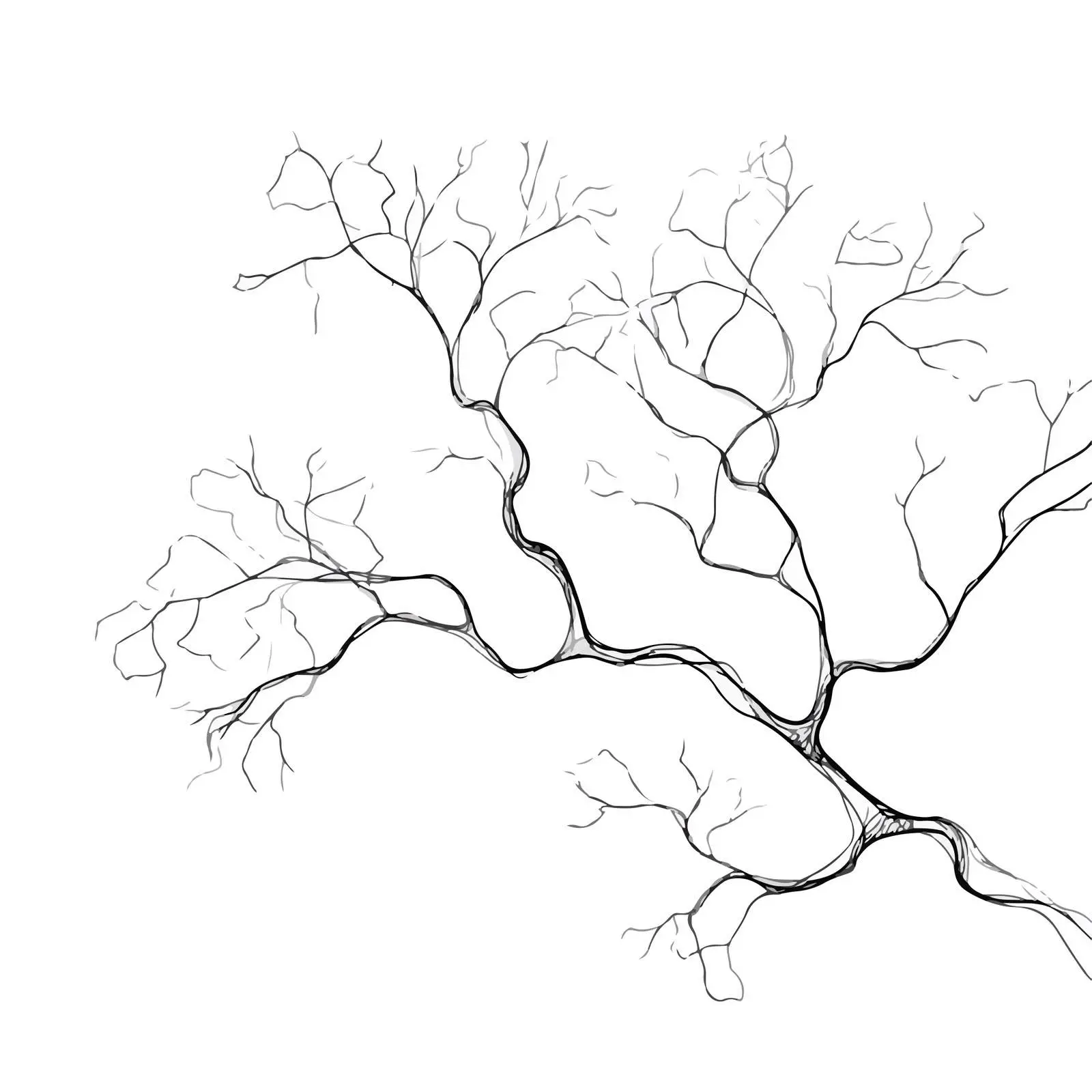 Simplified Tree Branch Vector Art — free download from Dotvec