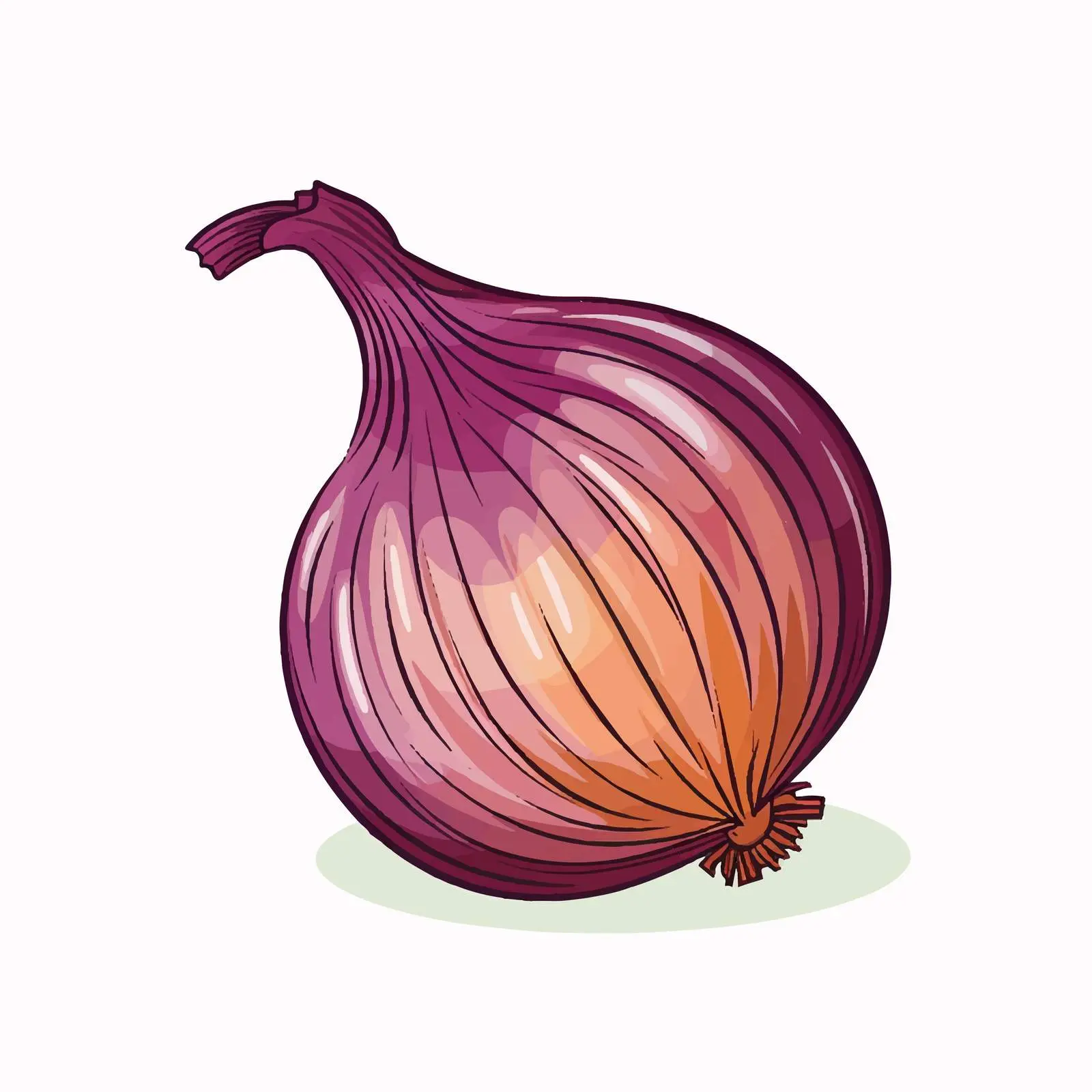 Fresh Organic Onion Vector Design — free download from Dotvec