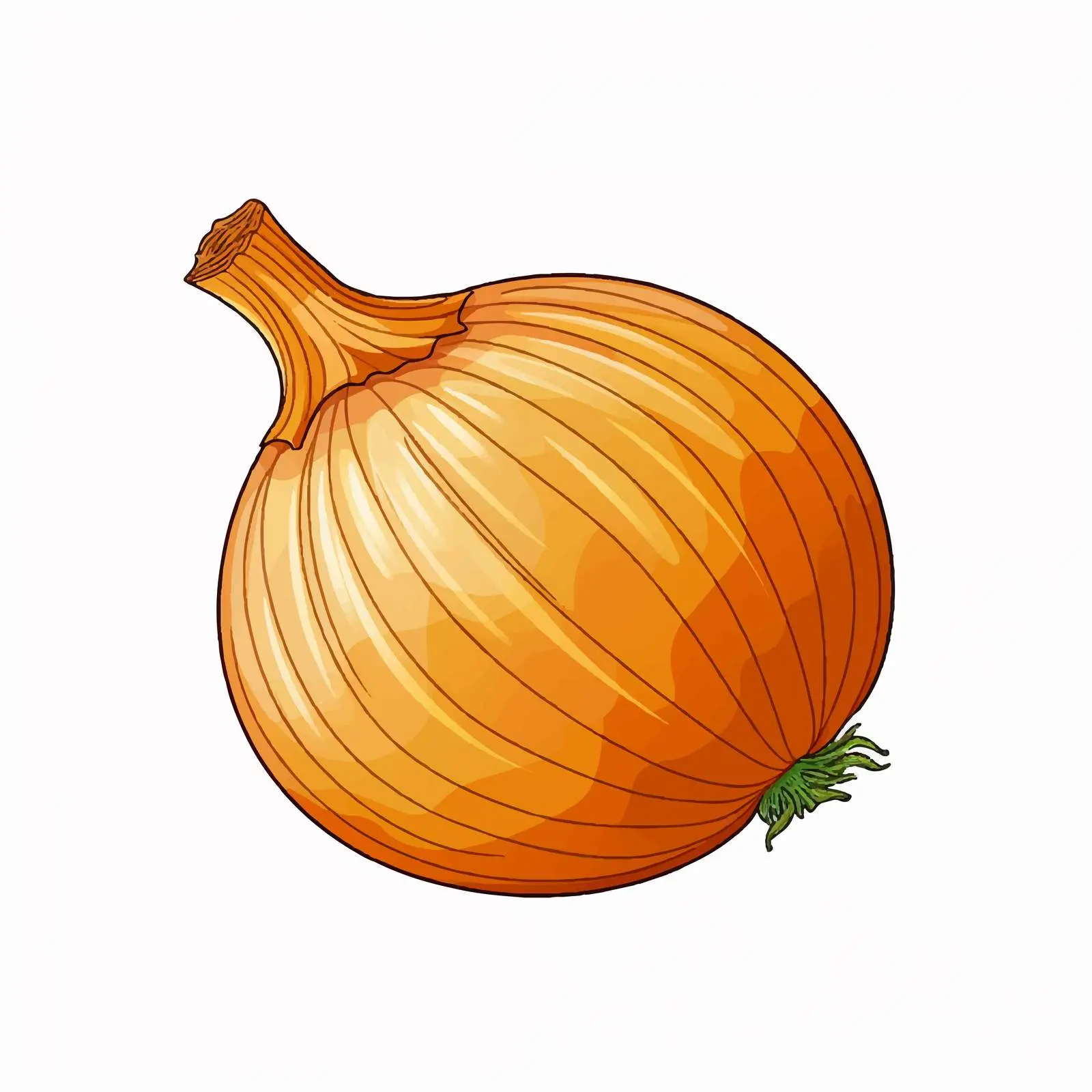 Onion Outline Vector Illustration on White Background — free download from Dotvec