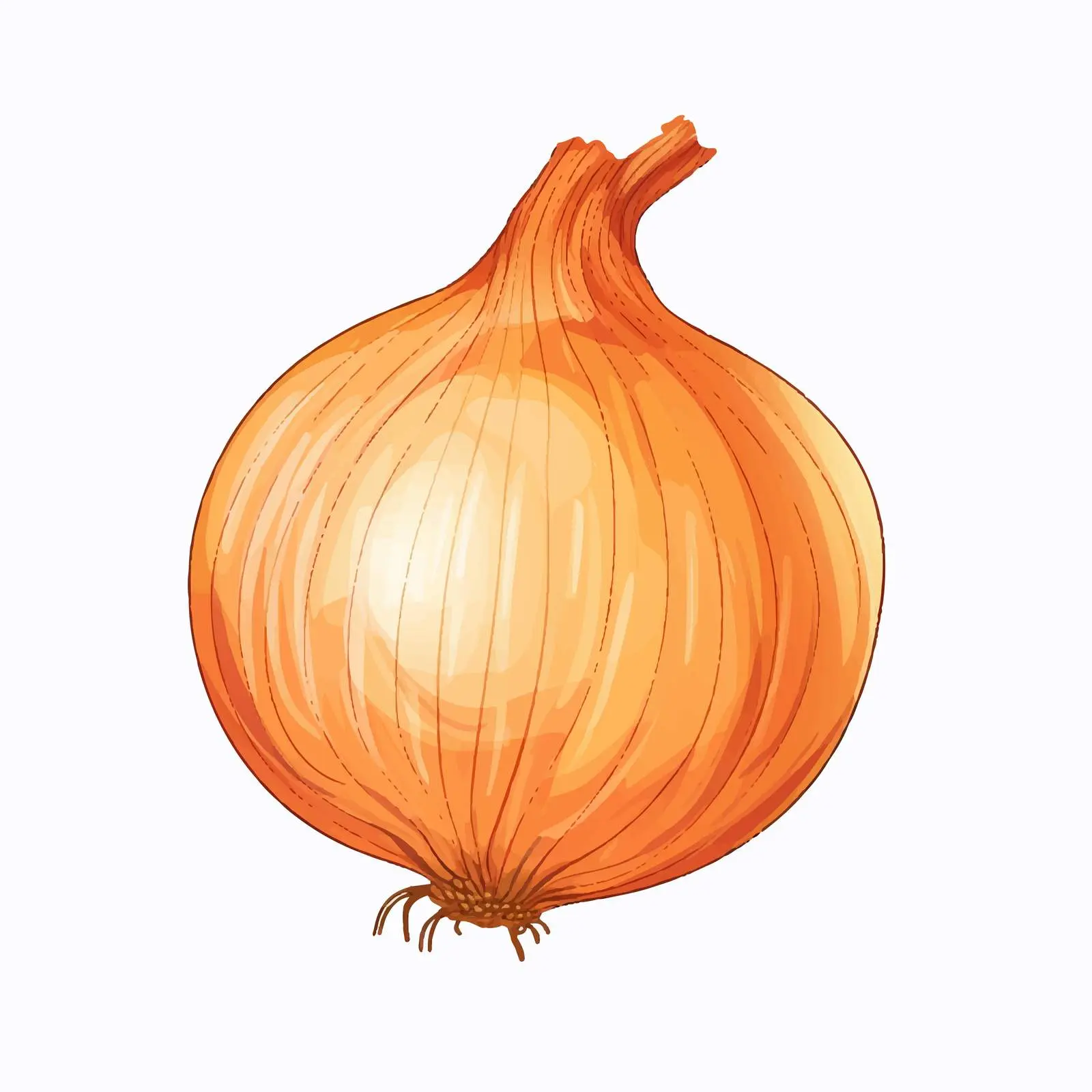 Onion Outline Illustration on White Background — free download from Dotvec