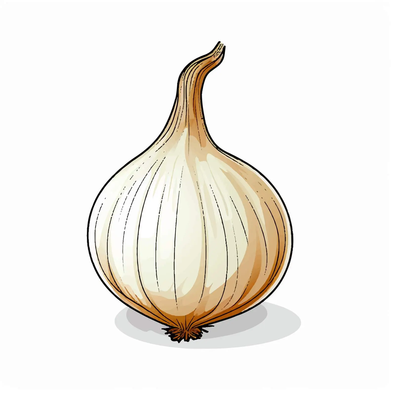 Onion Outline Illustration on White Background — free download from Dotvec