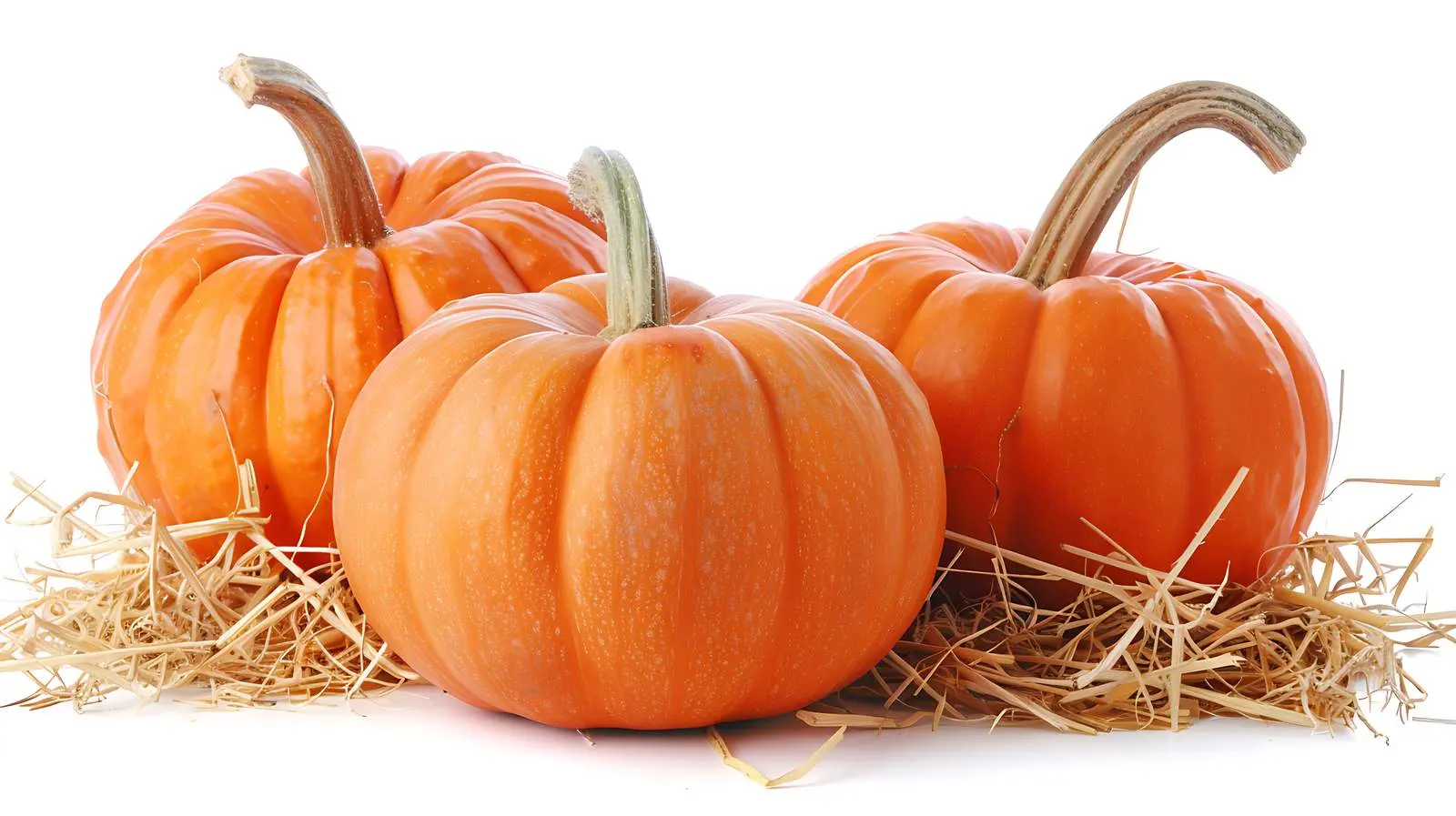 Fresh Orange Pumpkins on Straw Background — free download from Dotvec