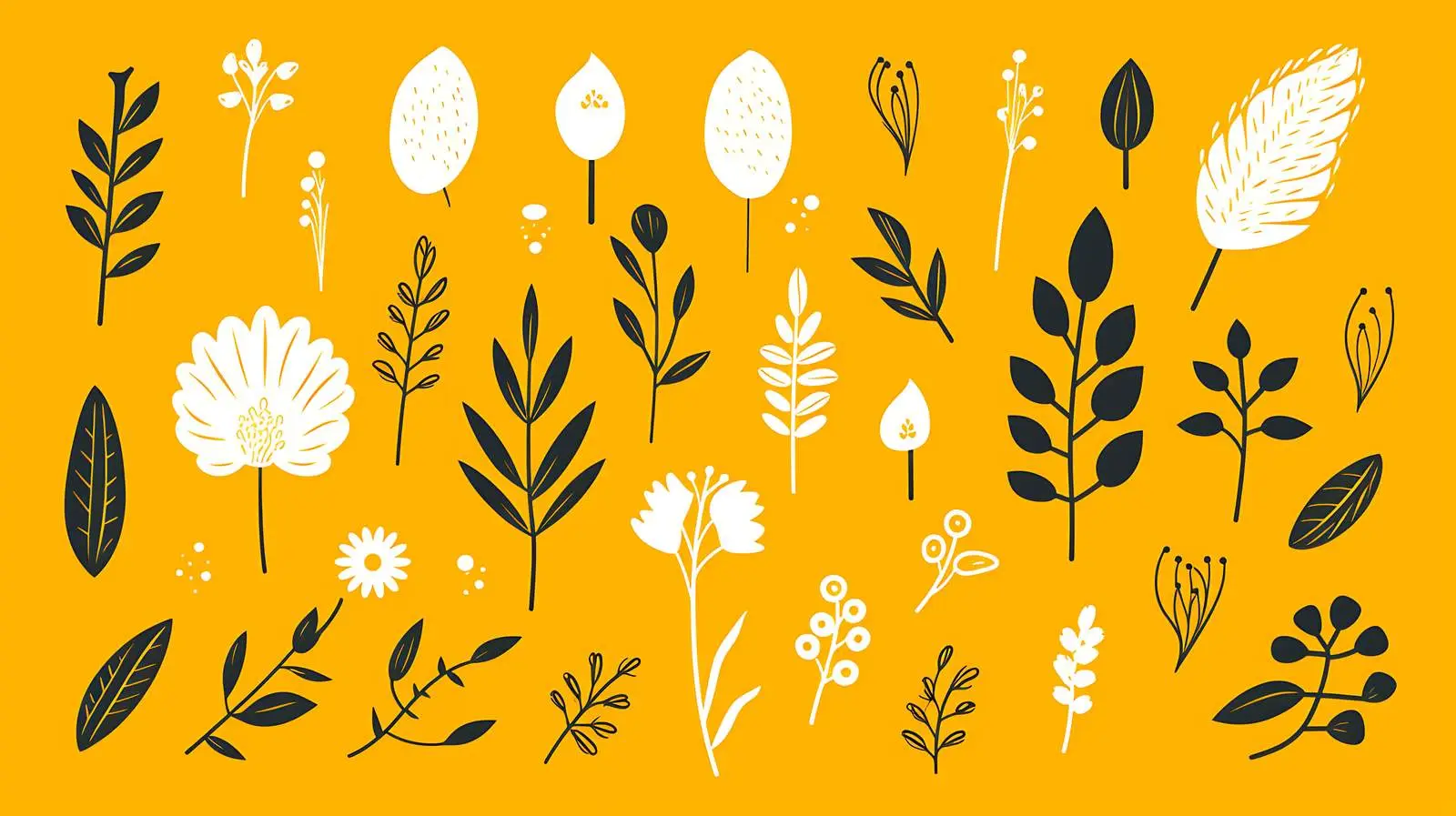 Stylized Outline Leaves Flowers White Image — free download from Dotvec