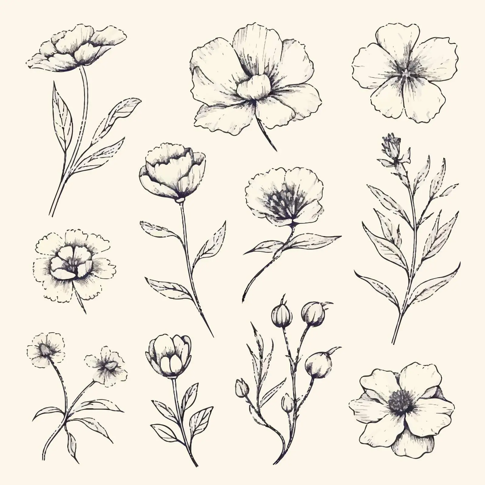 Vintage Retro Flower Outline Drawings — free download from Dotvec