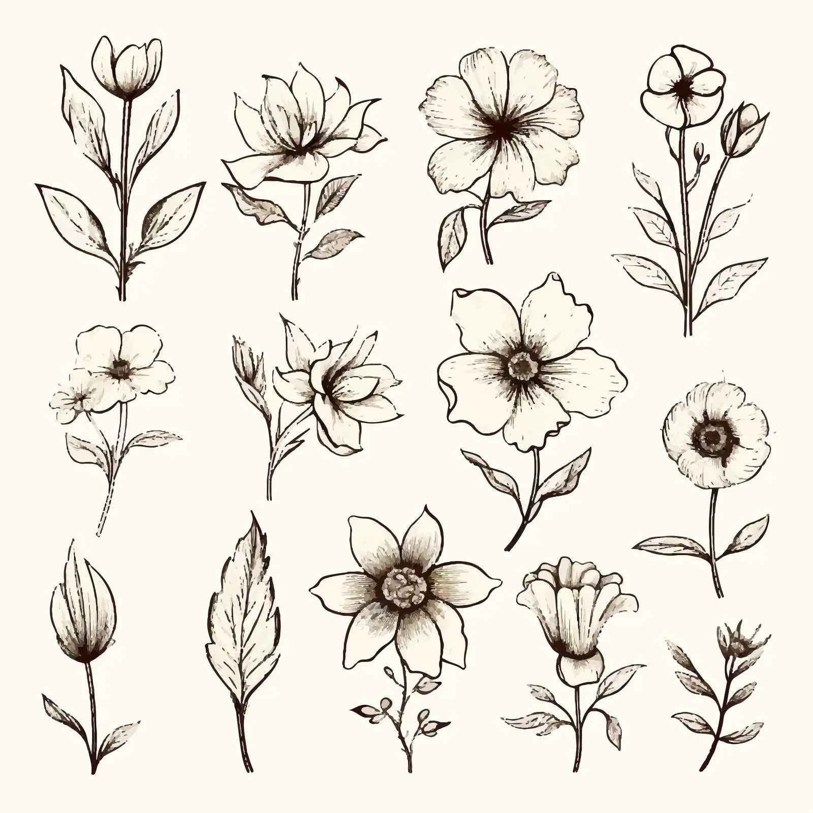 Vintage Style Flower Drawings - Retro Botanicals — free download from Dotvec
