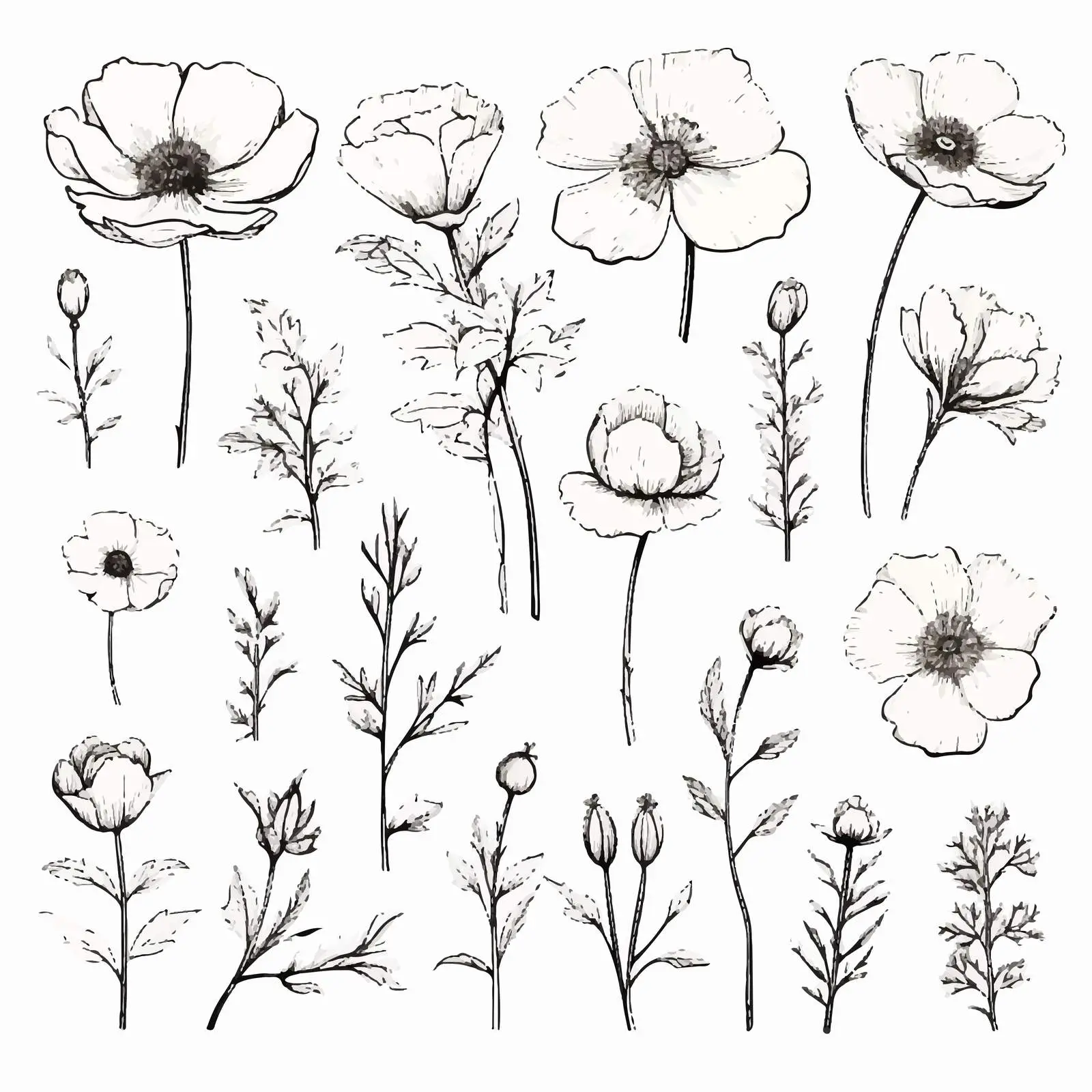 Vintage Outlined Flower Drawings in Retro Style — free download from Dotvec