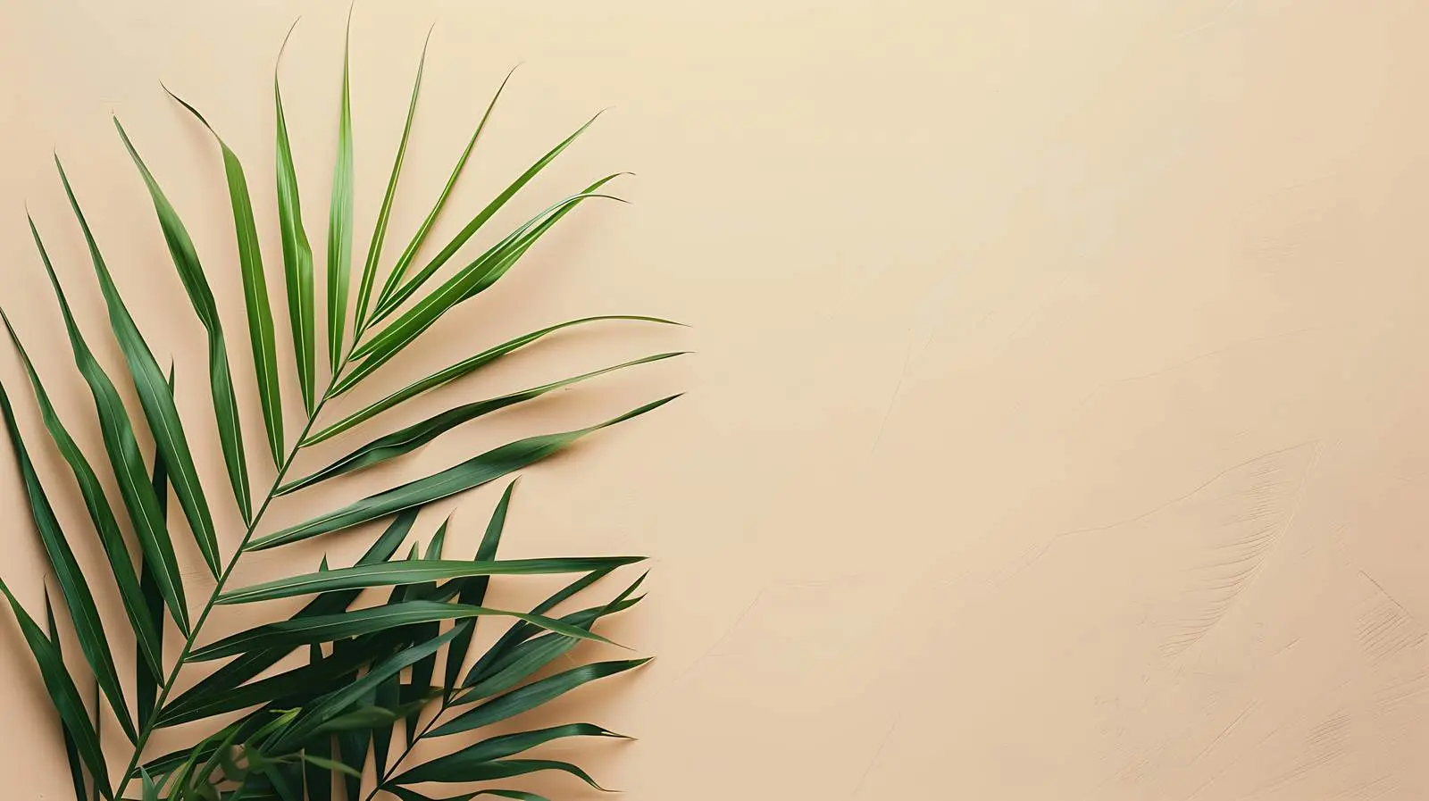 Pale Tropical Palm Branches on Beige Background — free download from Dotvec