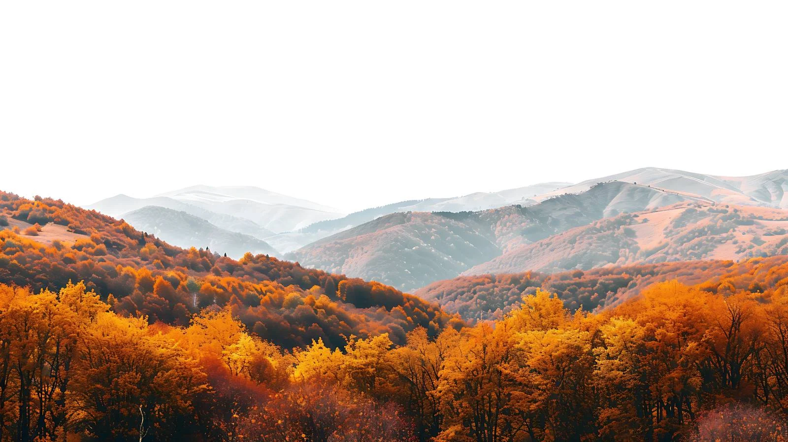 Autumn Mountain Aerial View Panorama Isola — free download from Dotvec