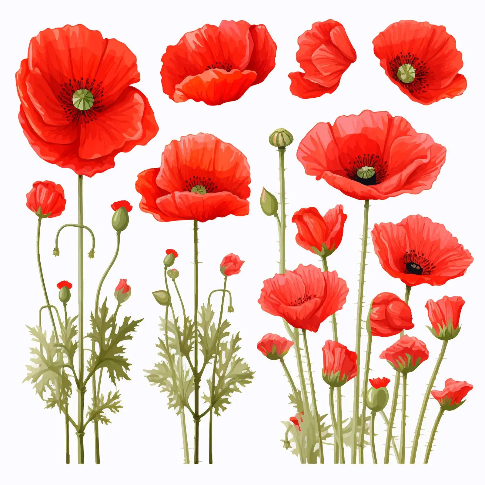 Bright Red Summer Field Flowers Vectors — free download from Dotvec