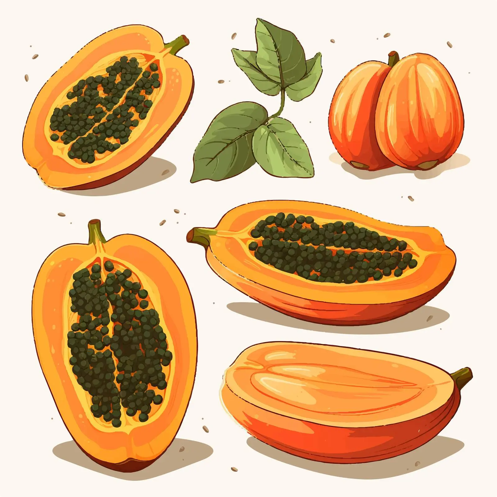 Papaya Fruit Vector Illustration on White Background — free download from Dotvec