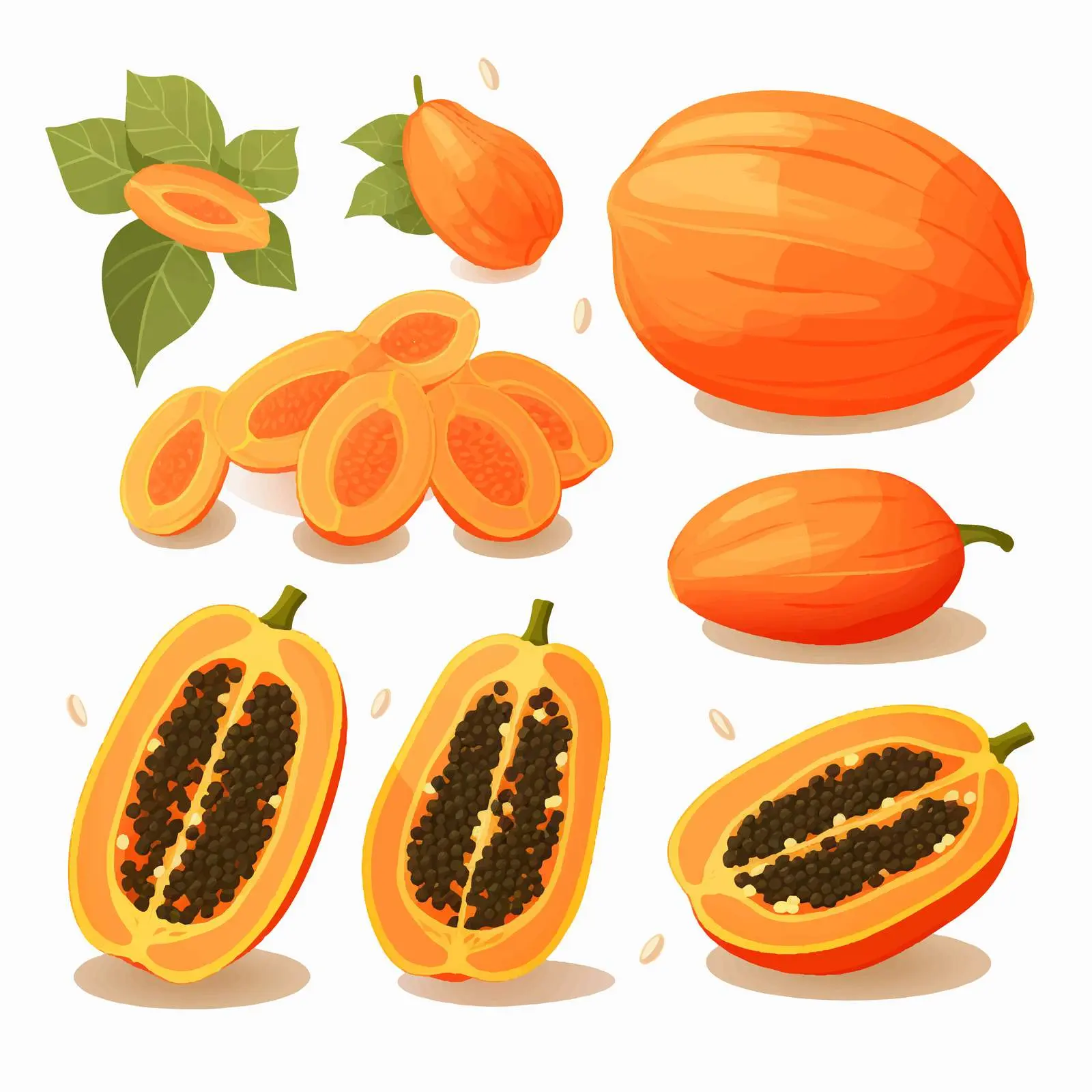 Isolated Papaya Fruit Vector Illustration on White Background — free download from Dotvec
