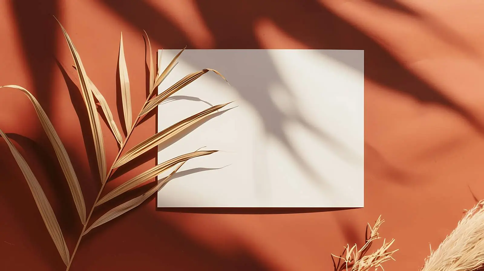 Blank Paper Card Mockup with Dried Palm — free download from Dotvec