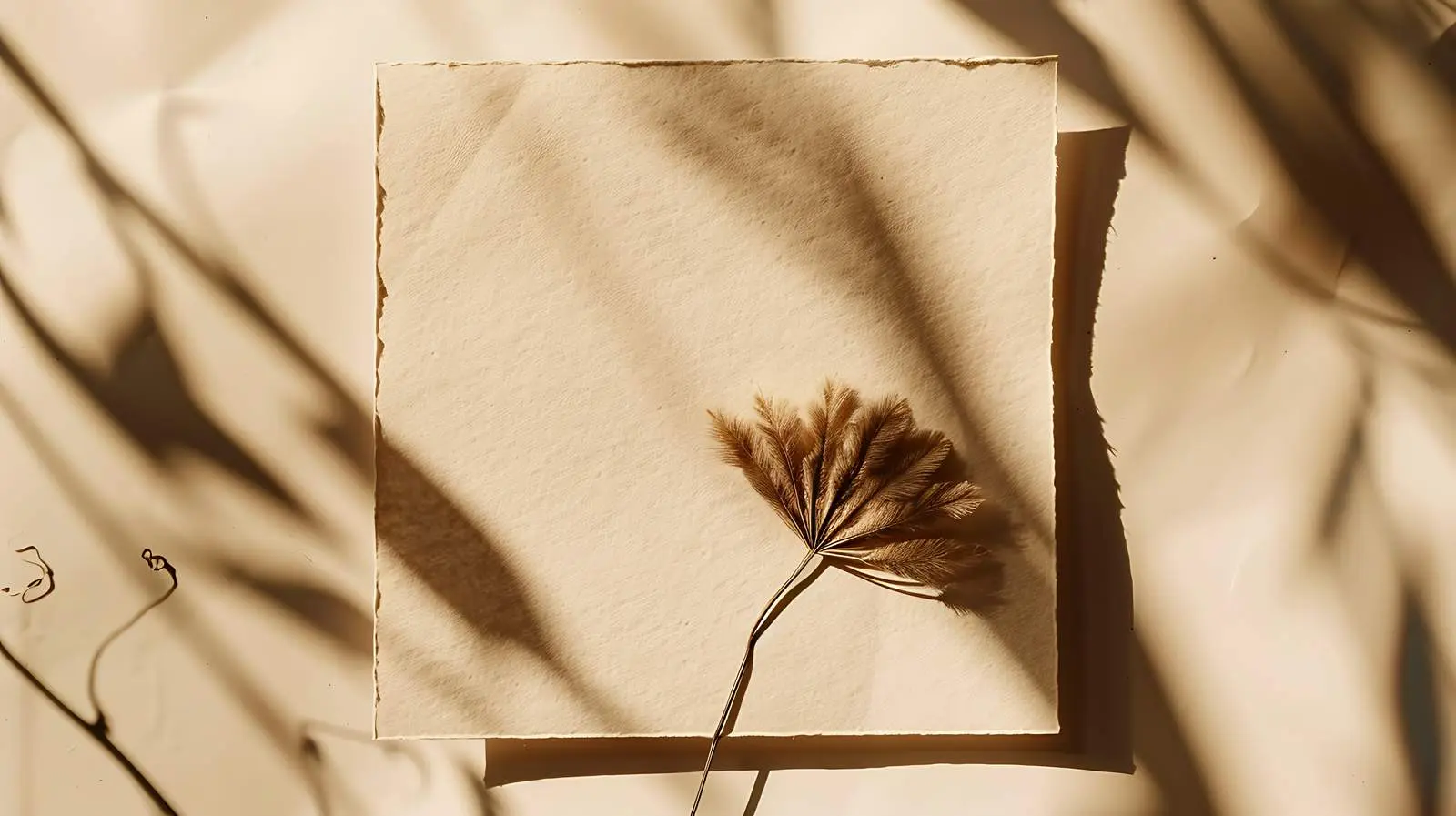 Blank Paper Card Mockup with Dried Fan – free rendered image from Dotvec