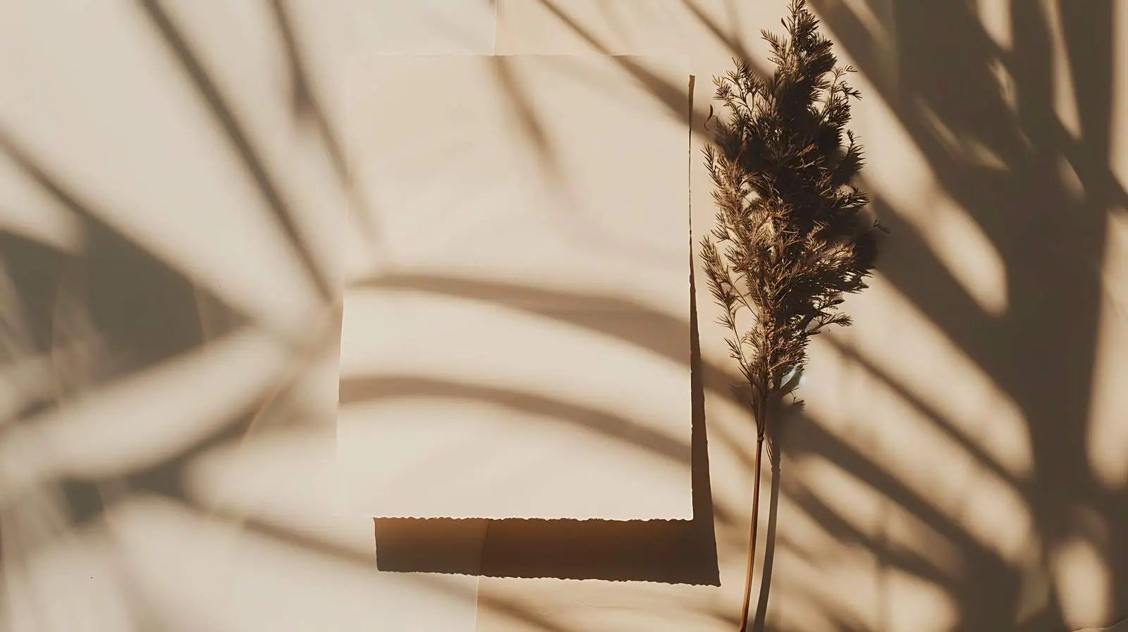 Blank Card Mockup with Dried Flowers — free download from Dotvec