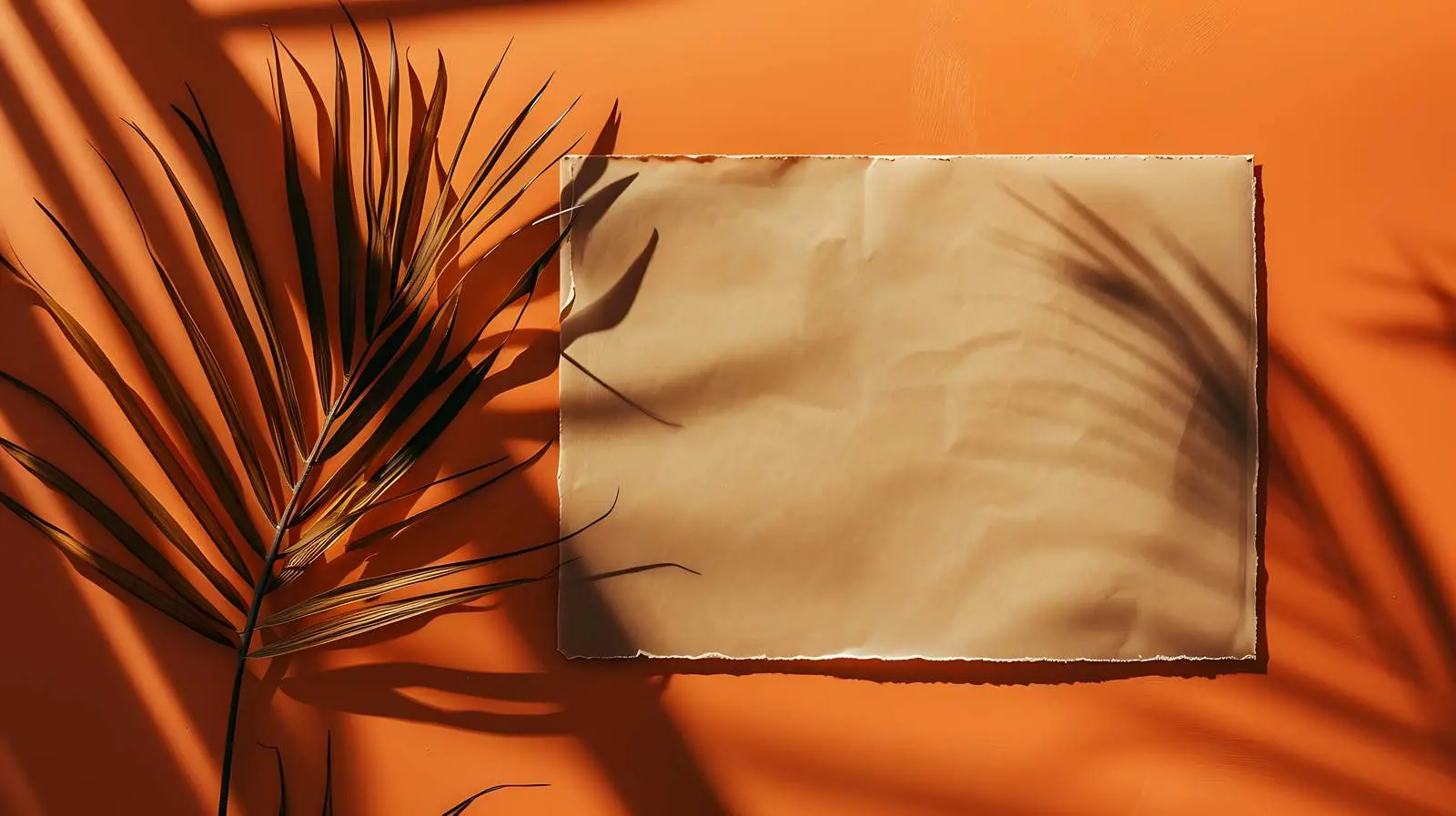 Blank Paper Card Mockup with Dried Palm — free download from Dotvec